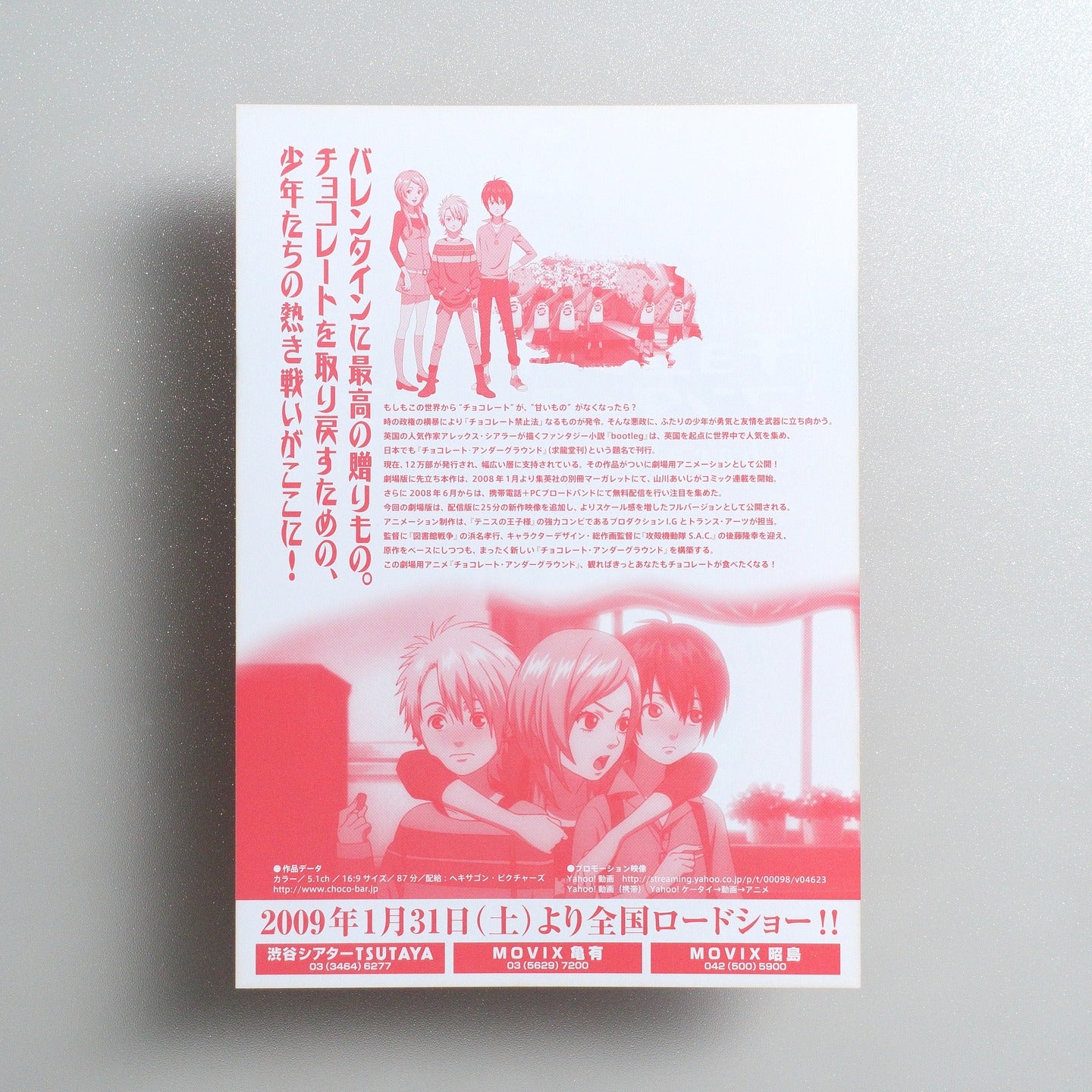 Chocolate Underground 2009 Japanese B5 Movie Flyer - reverse