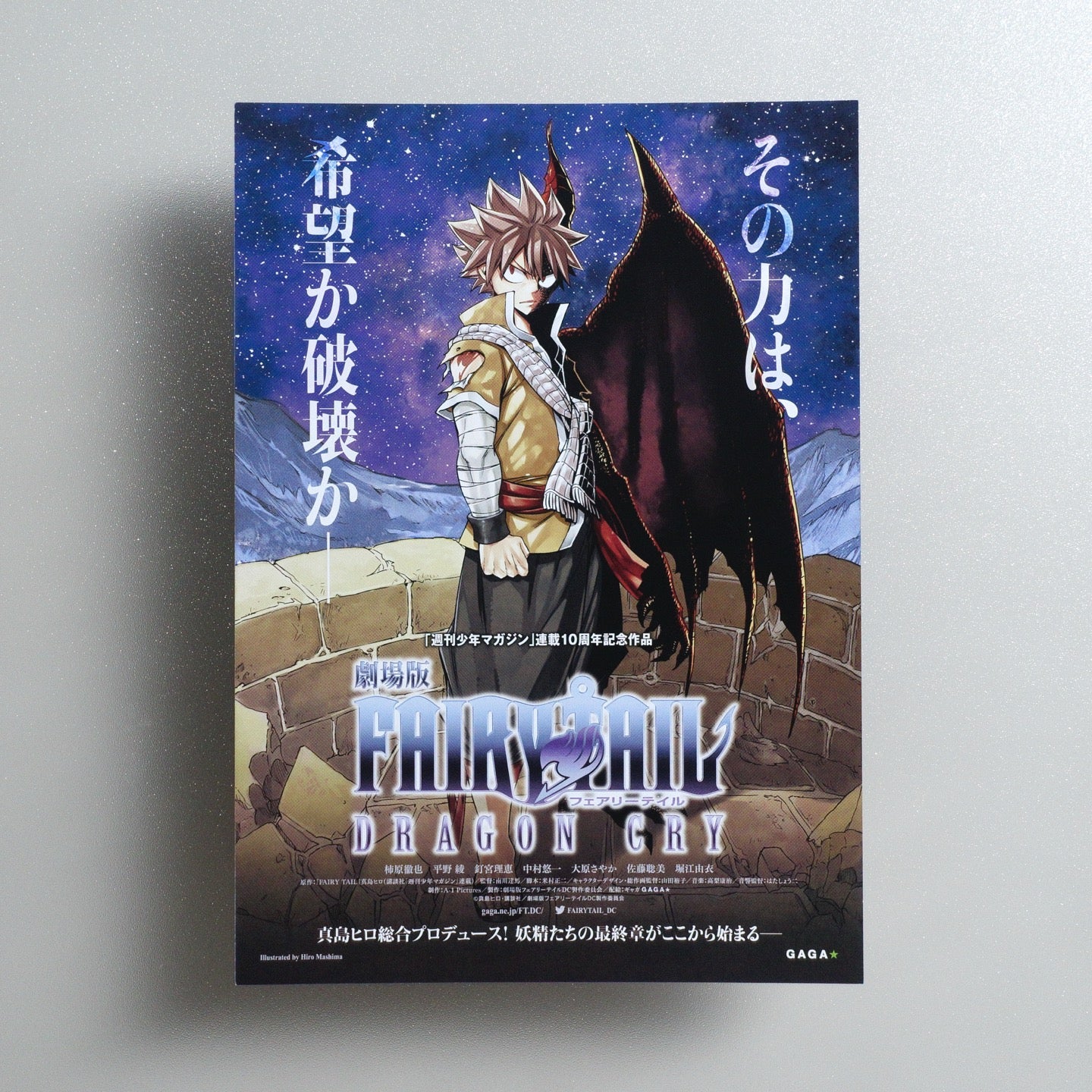 Fairy Tail: Dragon Cry 2017 Japanese B5 Movie Flyer - front