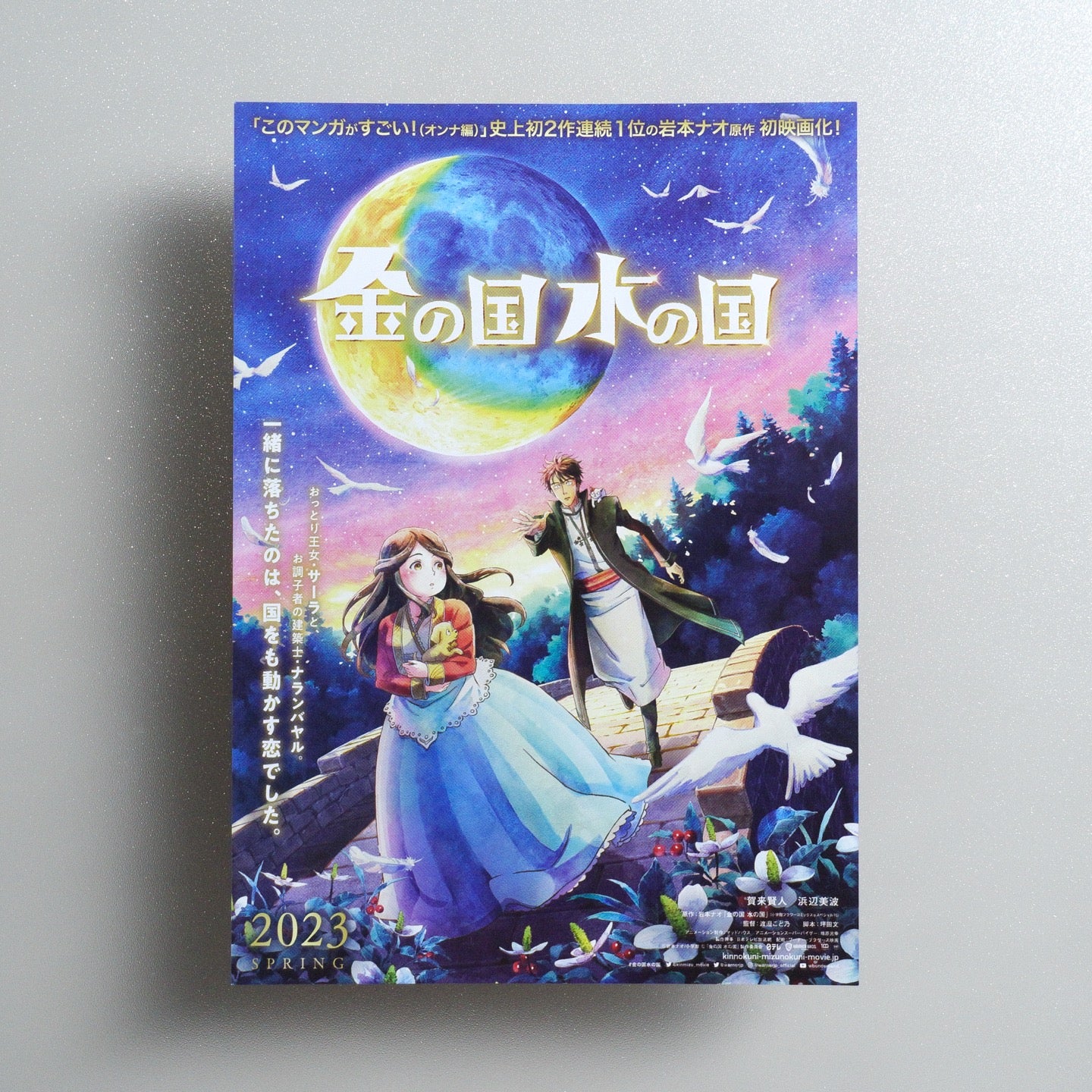 Gold Kingdom and Water Kingdom 2022 Japanese B5 Movie Flyer - front