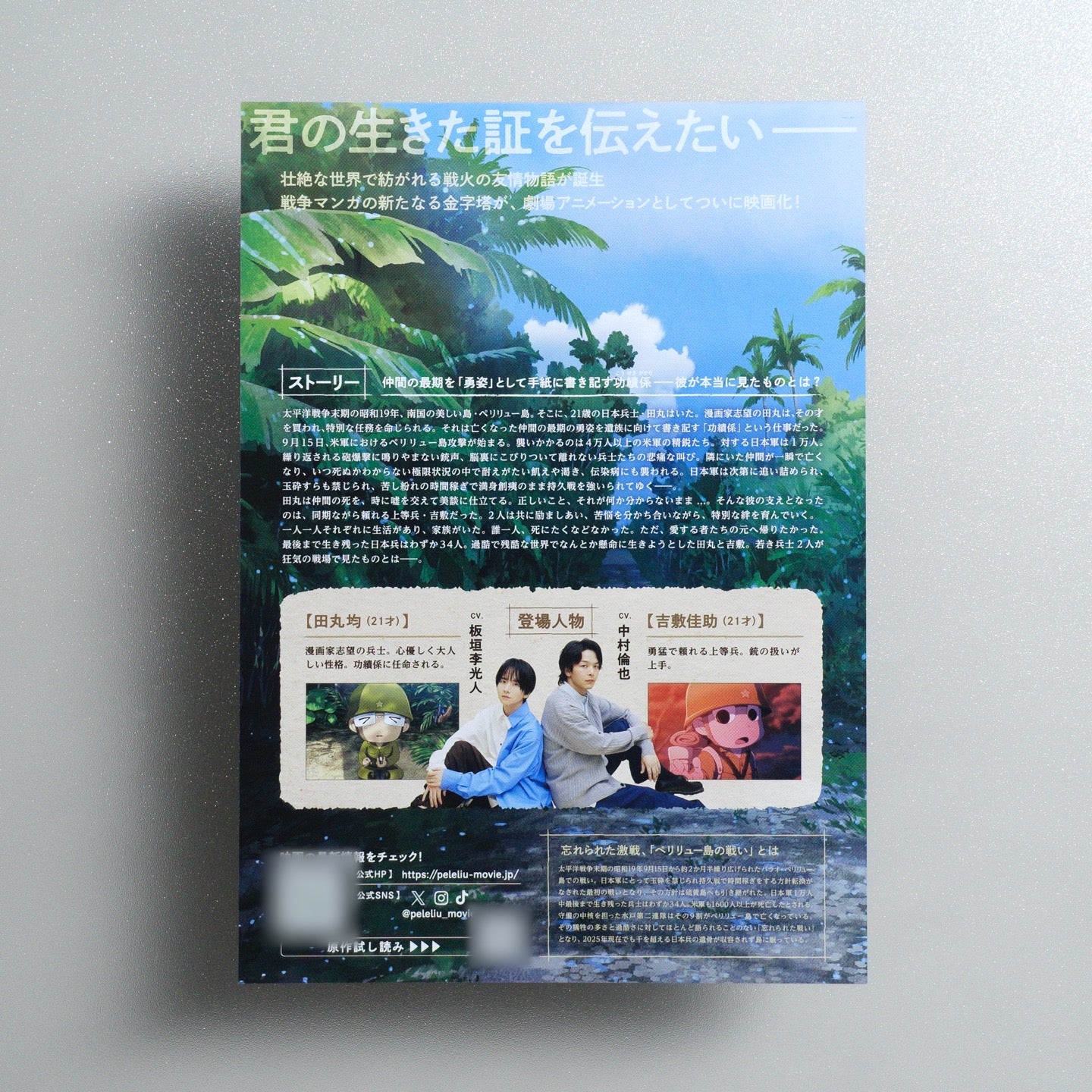 Peleliu: Guernica of Paradise 2025 Japanese B5 Movie Flyer - reverse