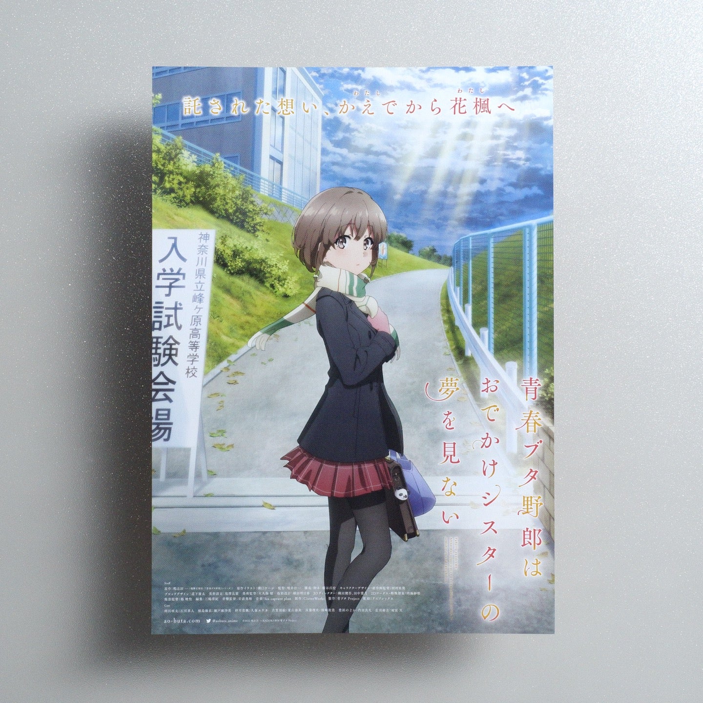 Rascal Does Not Dream of a Sister Venturing Out 2023 Japanese B5 Movie Flyer - front