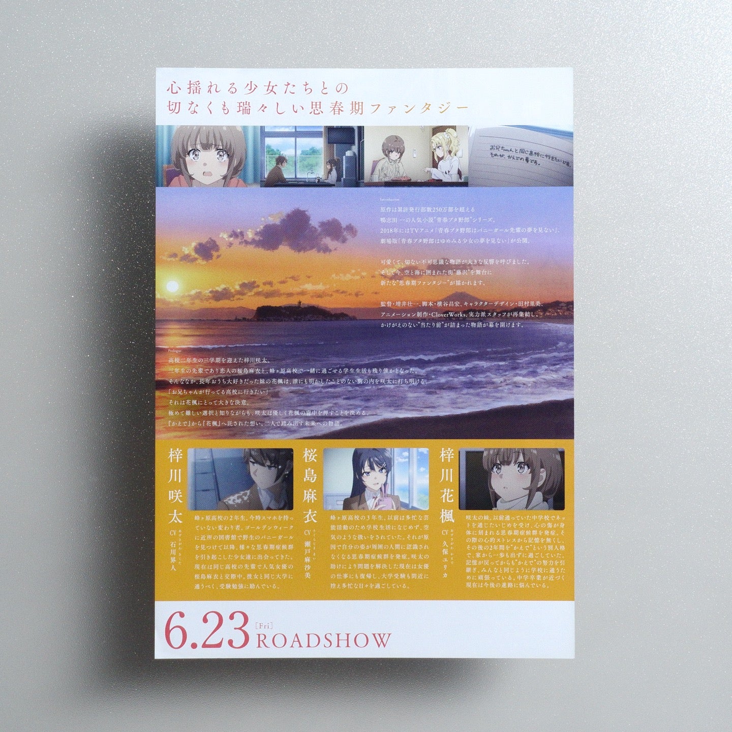 Rascal Does Not Dream of a Sister Venturing Out 2023 Japanese B5 Movie Flyer - reverse