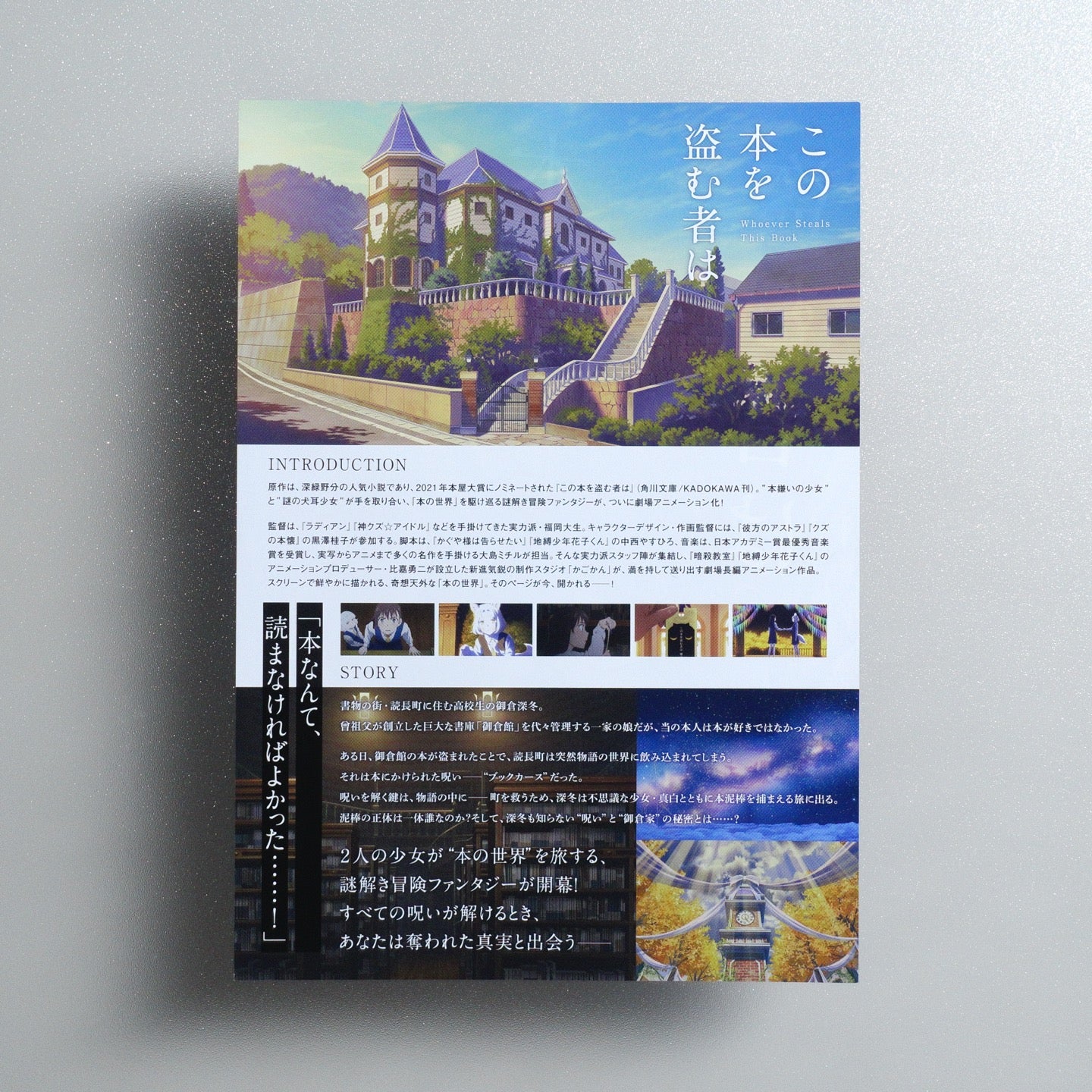 Whoever Steals This Book 2025 Japanese B5 Movie Flyer - reverse