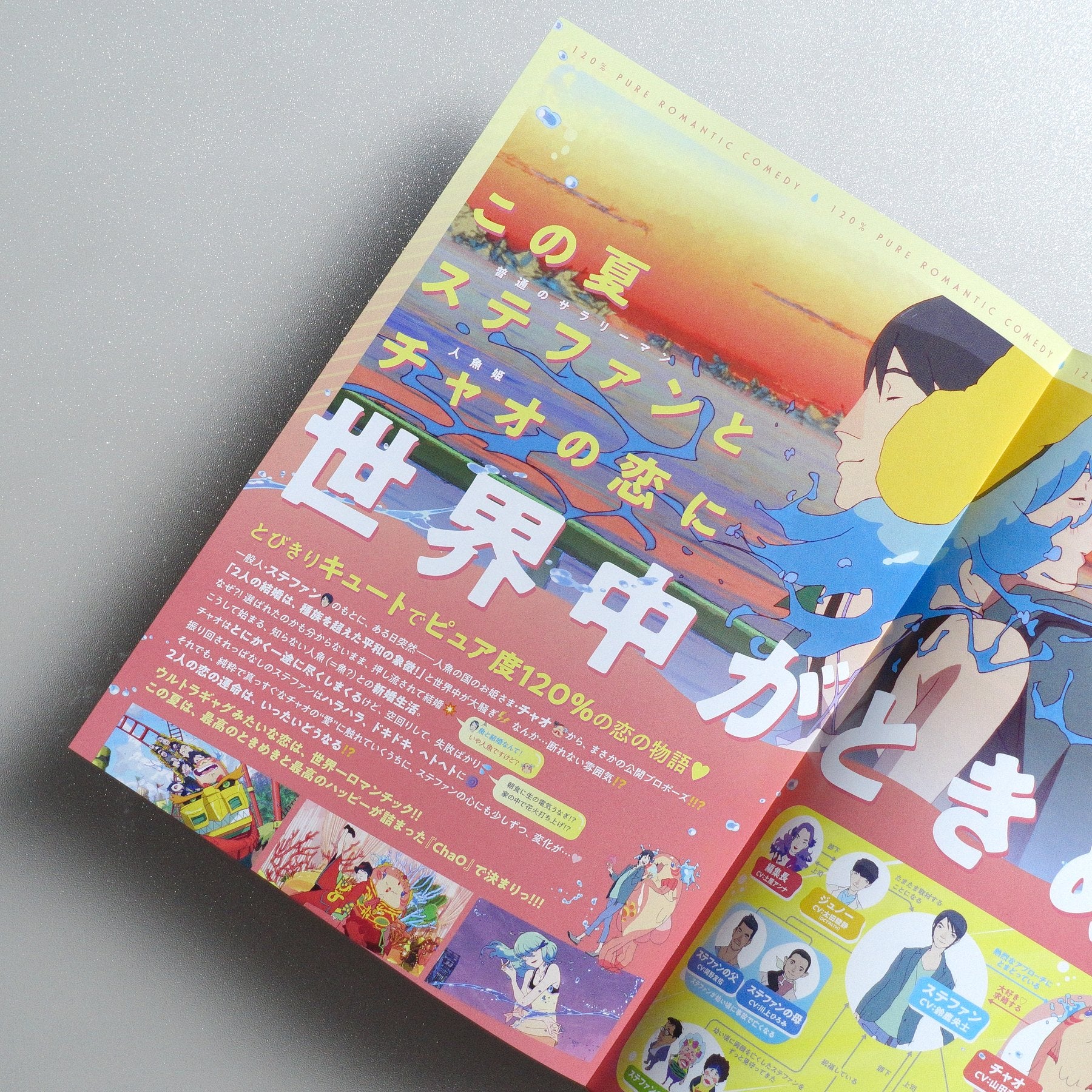 ChaO 2025 Japanese B5 Folded Flyer - reverse