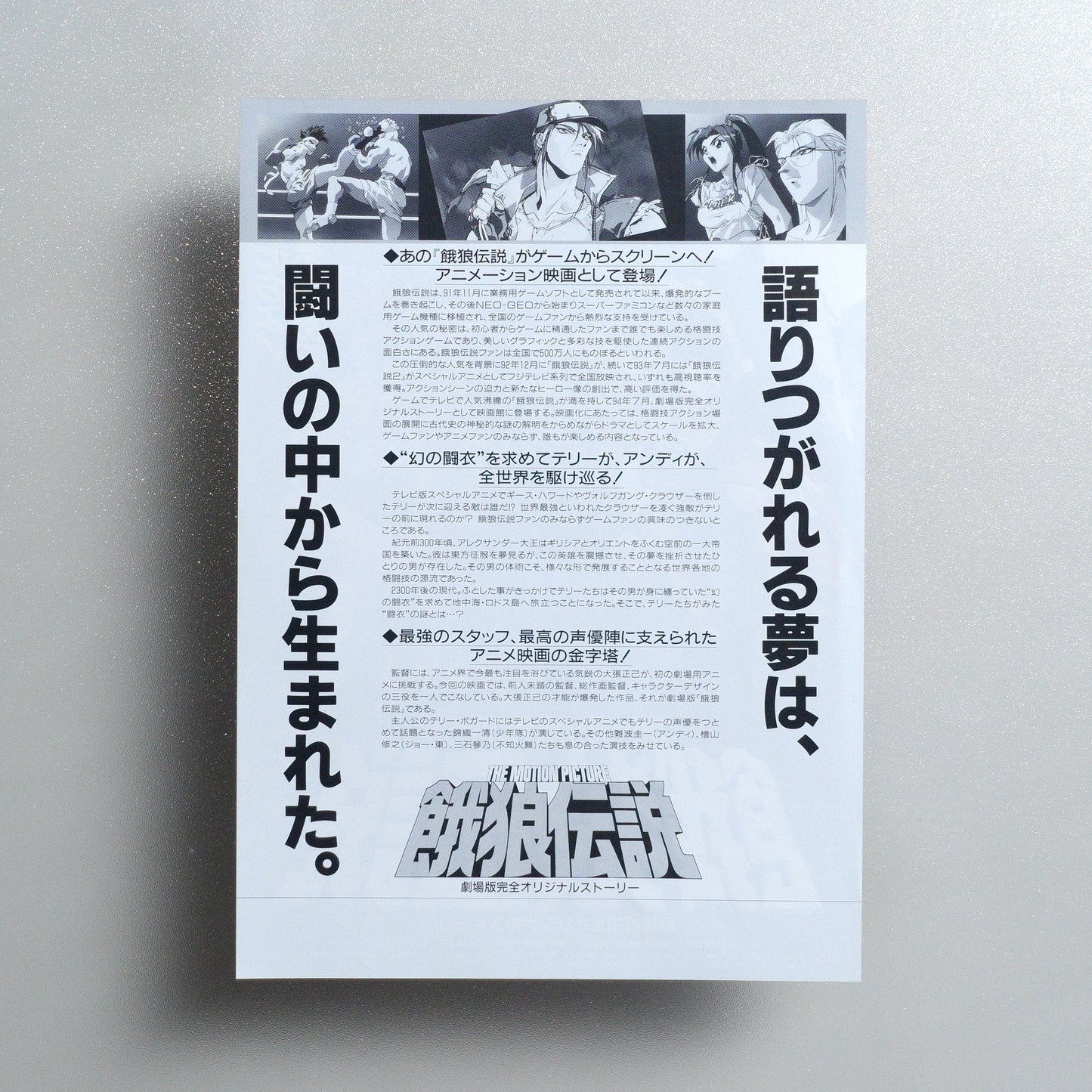 Fatal Fury: The Motion Picture 1994 Japanese B5 Movie Flyer - side C