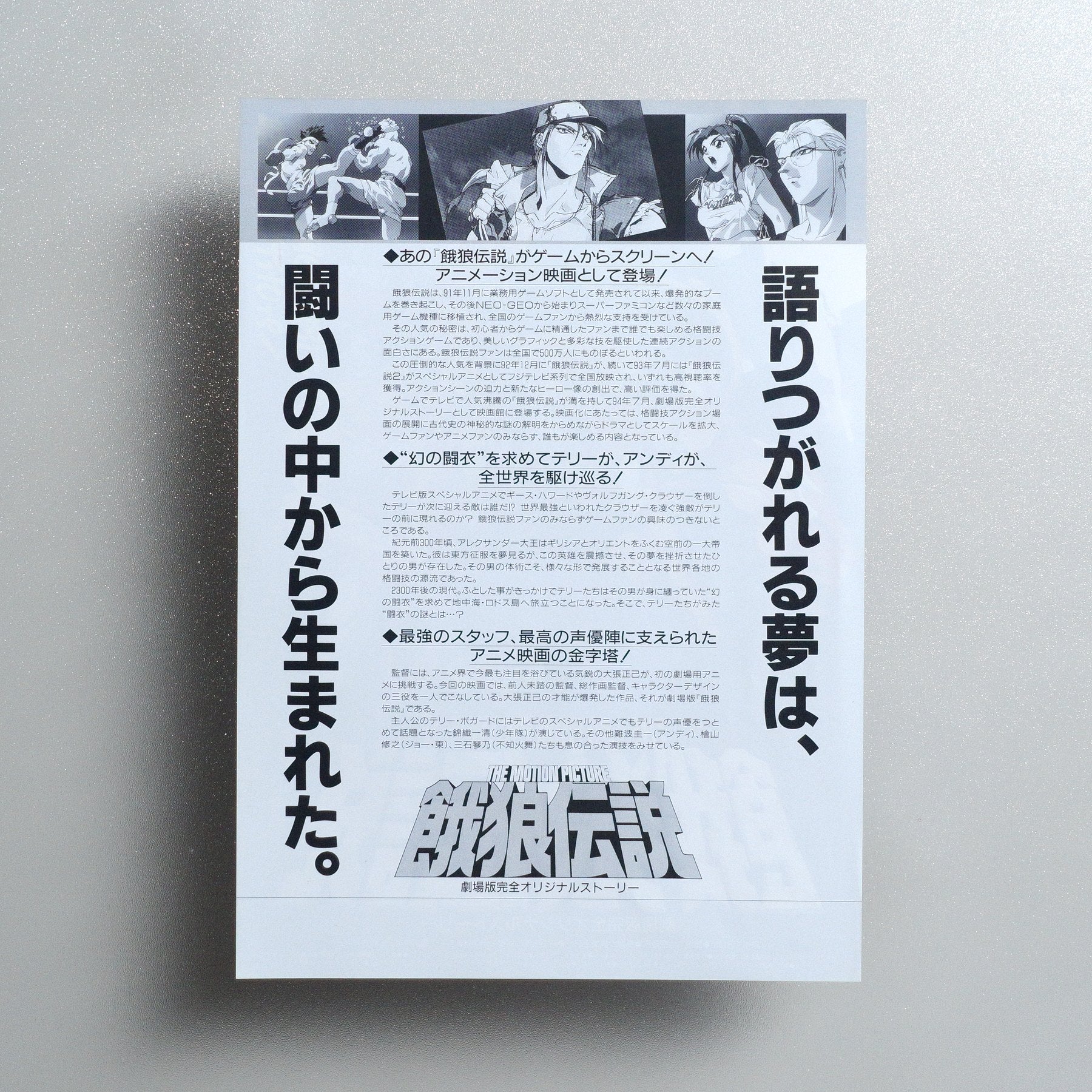 Fatal Fury: The Motion Picture 1994 Japanese B5 Movie Flyer - side C