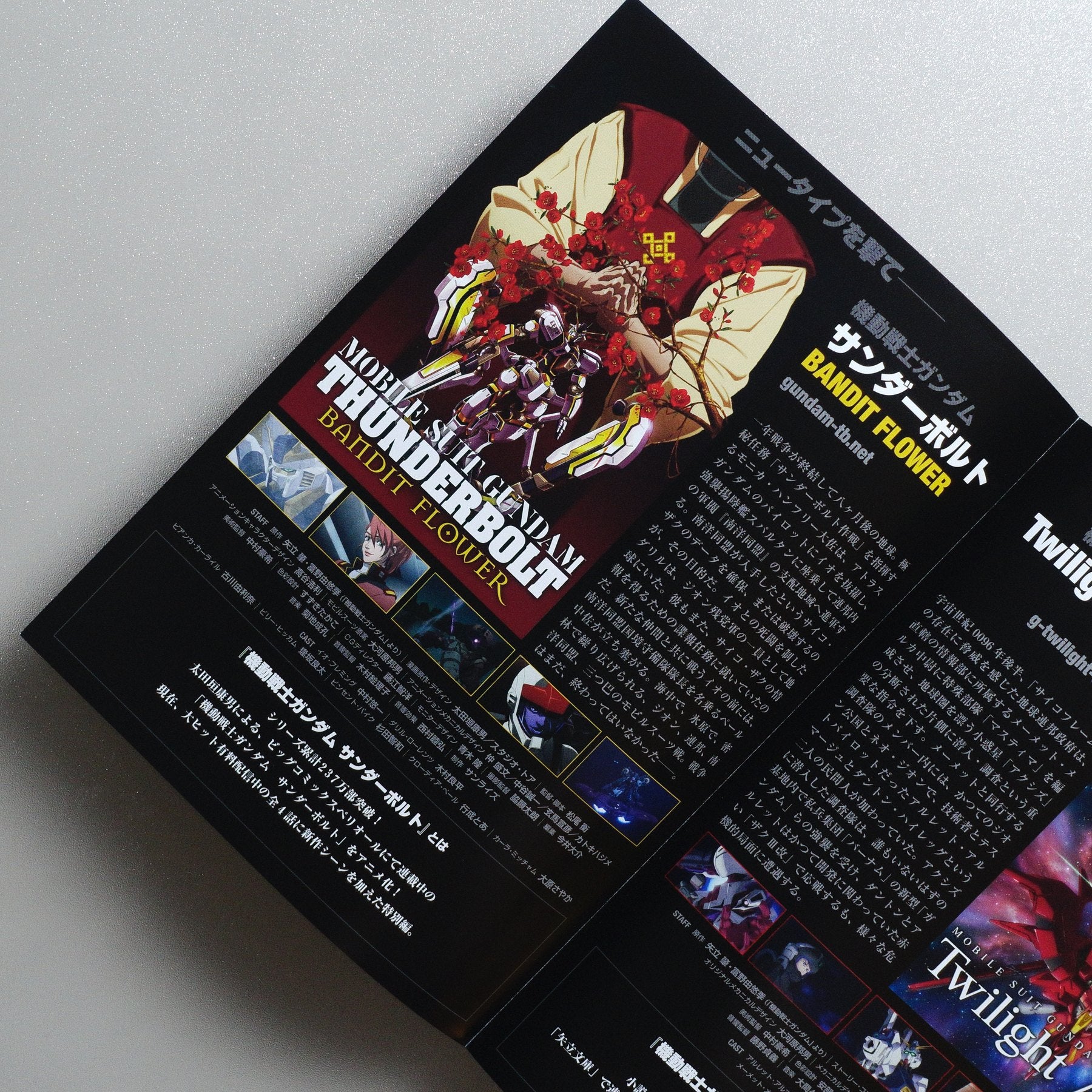 Mobile Suit Gundam Thunderbolt: Bandit Flower 2017 Japanese B5 Folded Flyer - reverse