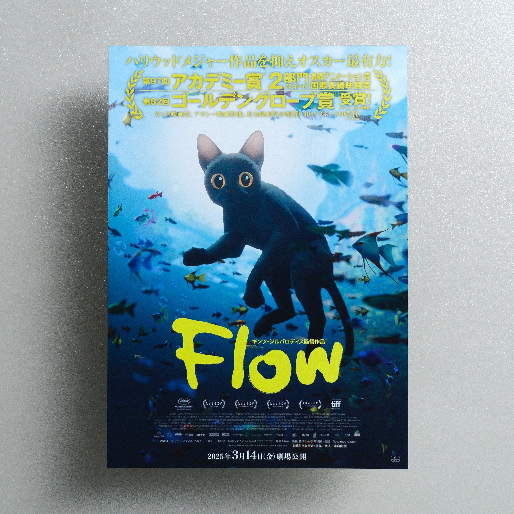 Flow 2025 Japanese B5 Movie Flyer - front