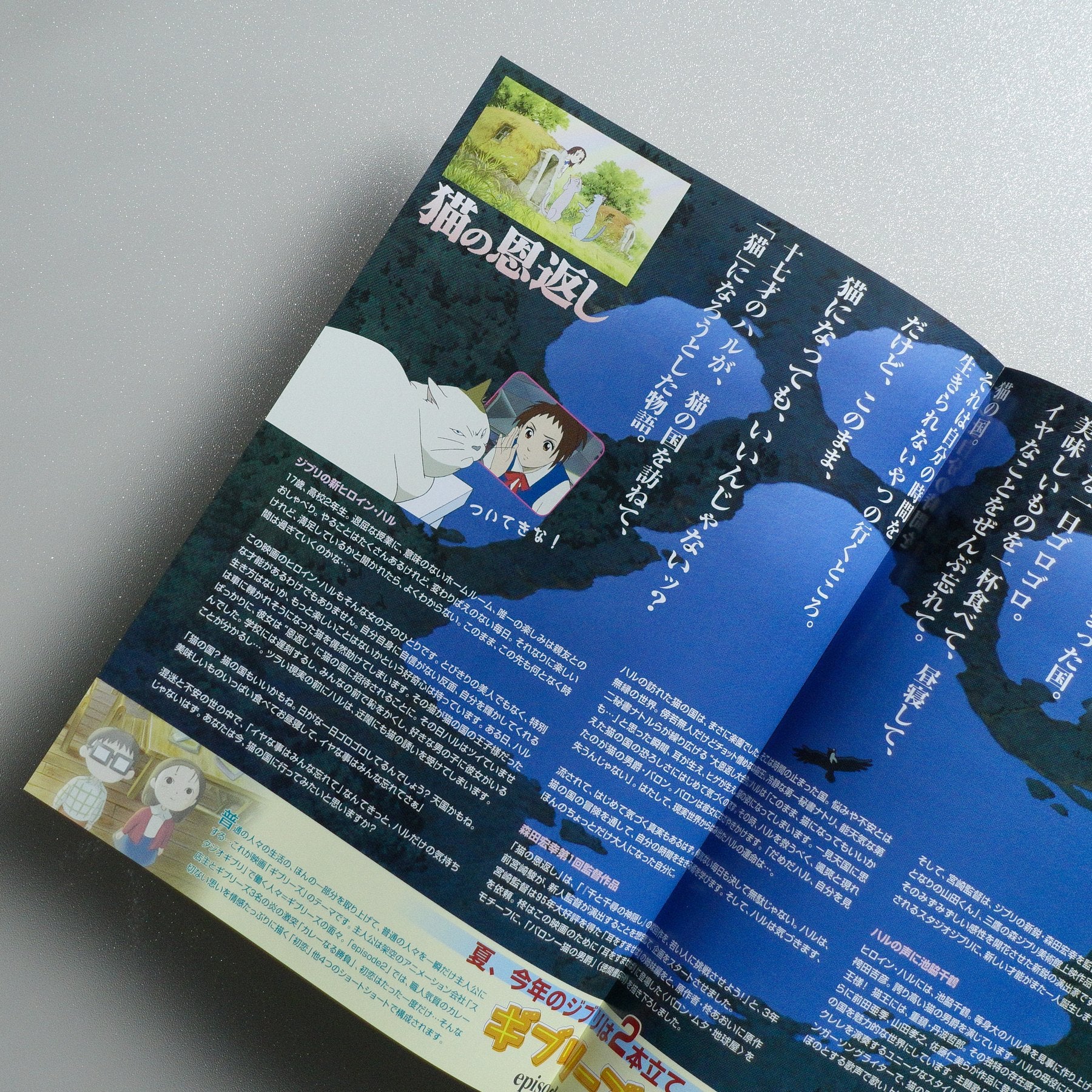 The Cat Returns 2002 Japanese B5 Folded Flyer - side C