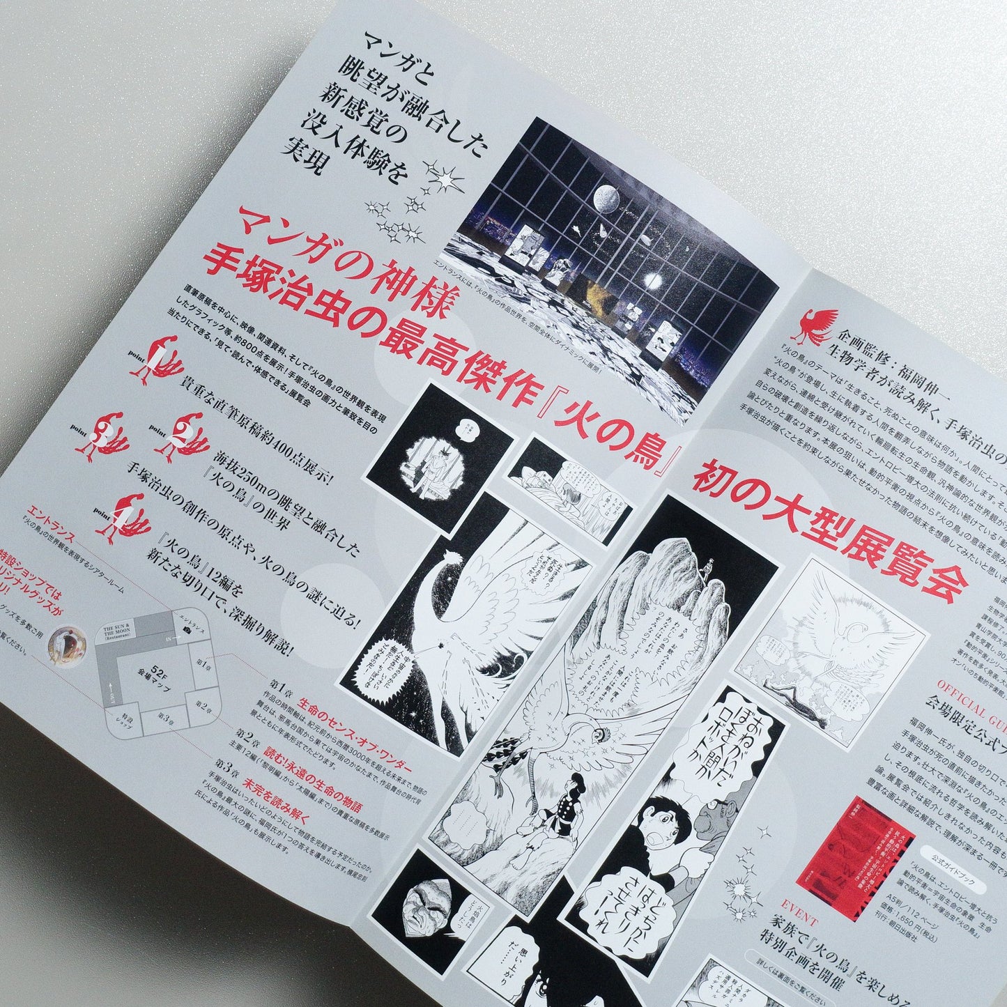 Osamu Tezuka’s HINOTORI Exhibition “Phoenix” is the Dynamic Equilibrium against Increasing Entropy and is the Symbol for Cosmic Life; tcv; roppongihills; com 2025 Japanese A4 Exhibition Flyer - side C