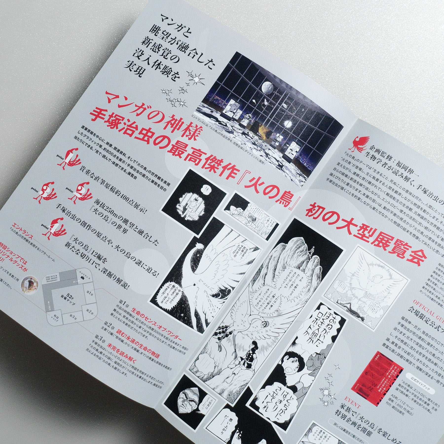 Osamu Tezuka’s HINOTORI Exhibition “Phoenix” is the Dynamic Equilibrium against Increasing Entropy and is the Symbol for Cosmic Life; tcv; roppongihills; com 2025 Japanese A4 Exhibition Flyer - side C