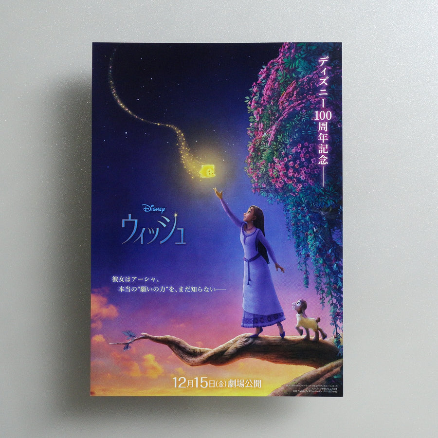 Wish 2023 Japanese B5 Movie Flyer - front