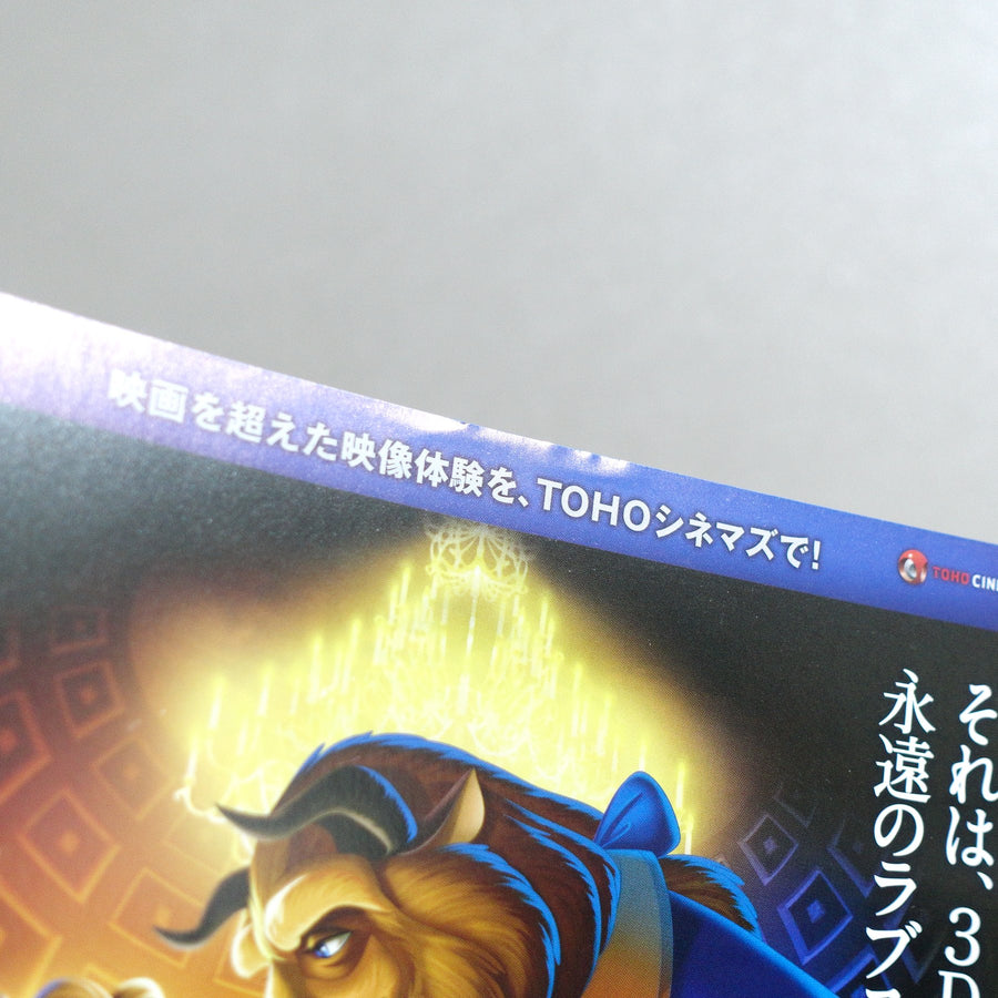 Beauty and the Beast 3D : 3D 2010 Japanese B5 Movie Flyer - reverse