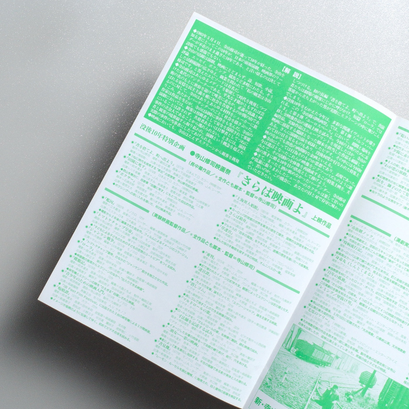 Shuji Terayama Film Festival: Saraba Eiga yo 1993 Japanese B5 Exhibition Flyer - reverse