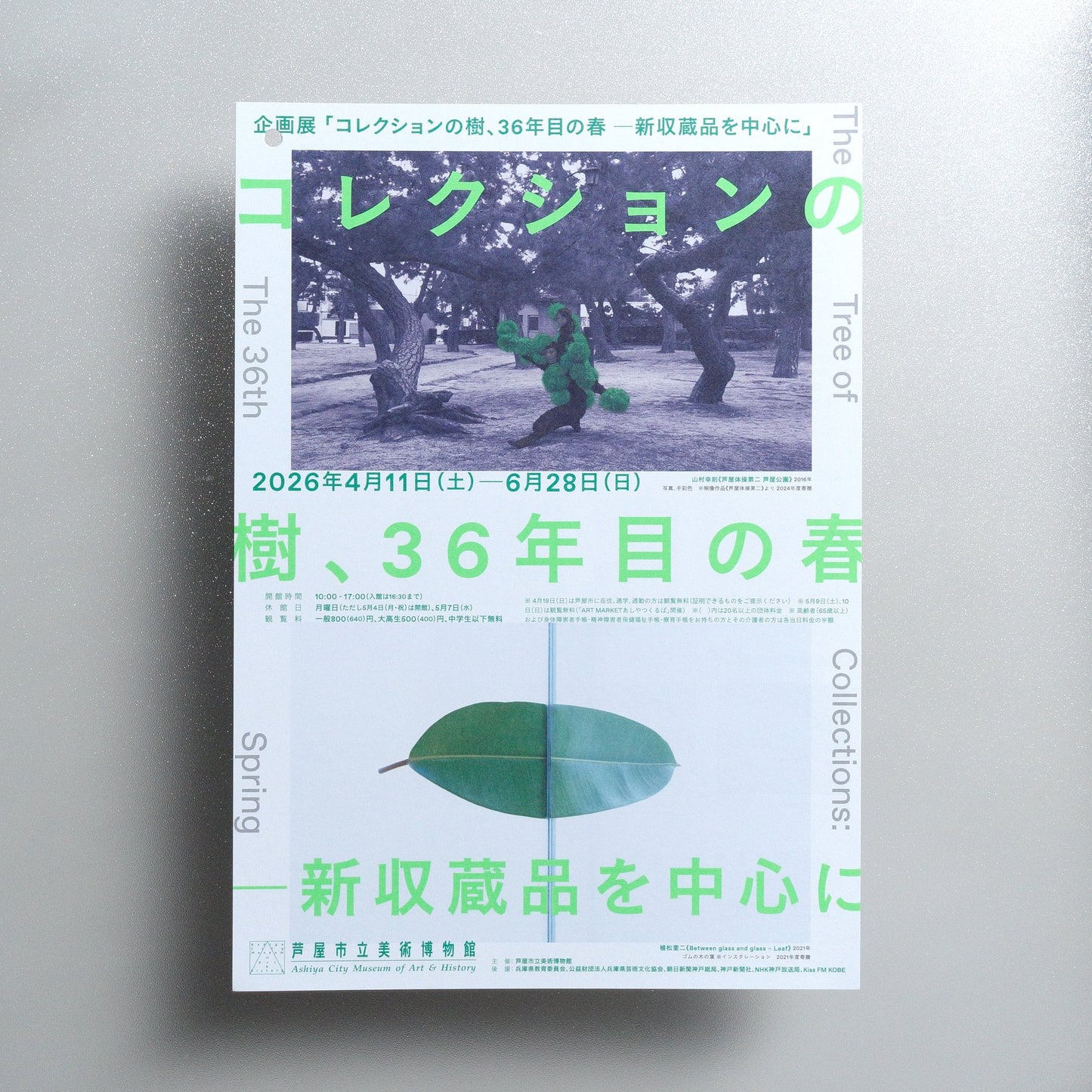 The Tree of Collections: The 36th Spring 2026 Japanese A4 Exhibition Flyer - front