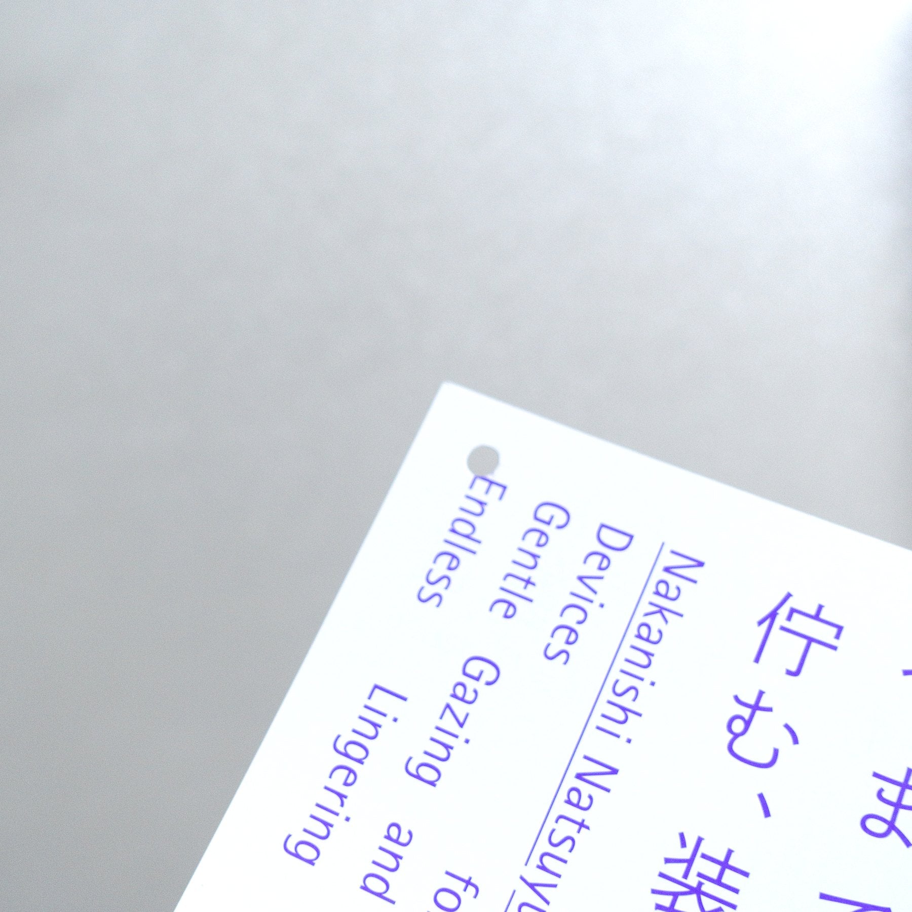 Nakanishi Natsuyuki: Devices for Gentle Gazing and Endless Lingering 2025 Japanese A4 Exhibition Flyer - reverse