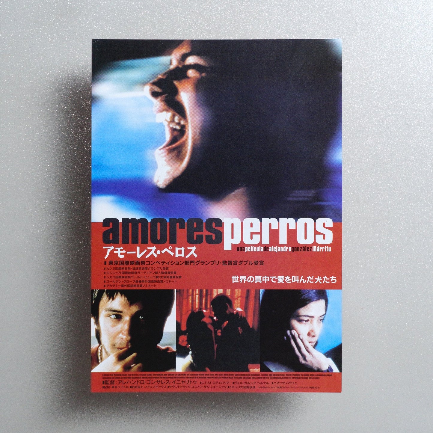 Amores perros 2001 Japanese B5 Movie Flyer - front