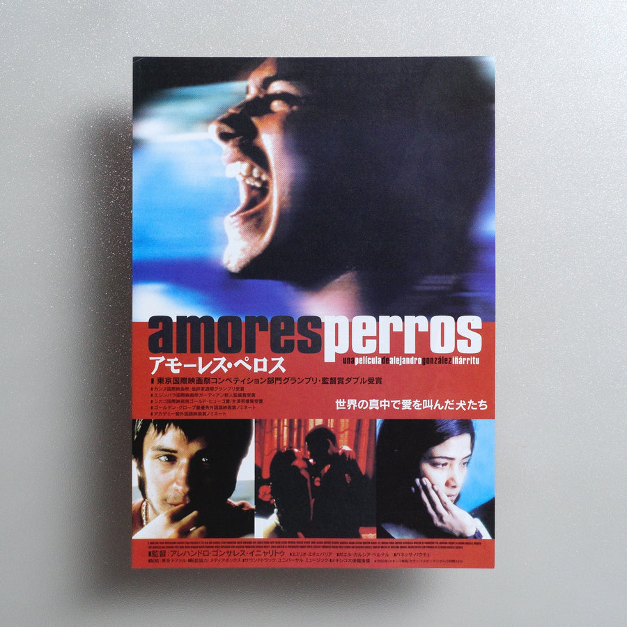 Amores perros 2001 Japanese B5 Movie Flyer - front