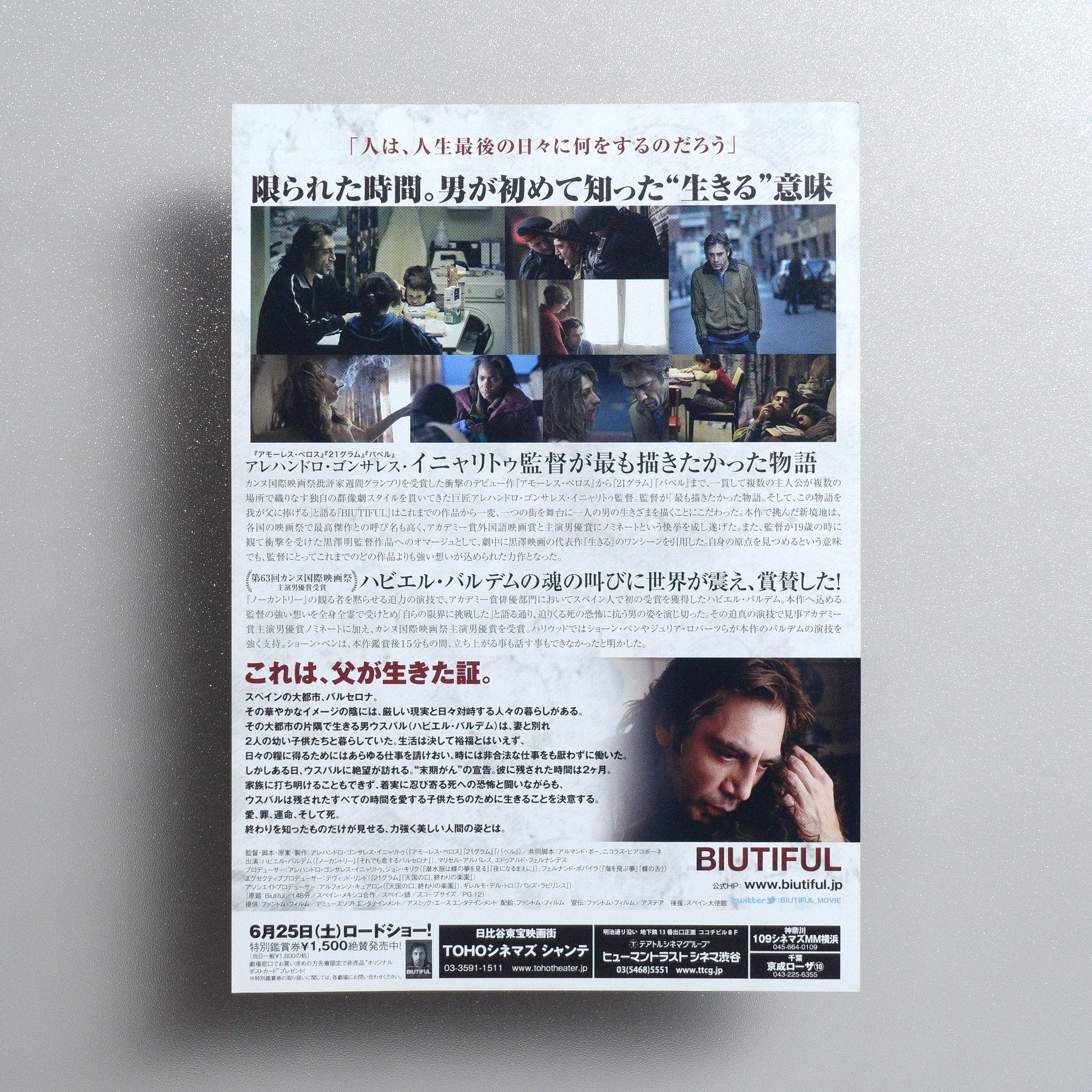 Biutiful 2011 Japanese B5 Movie Flyer - Design B reverse