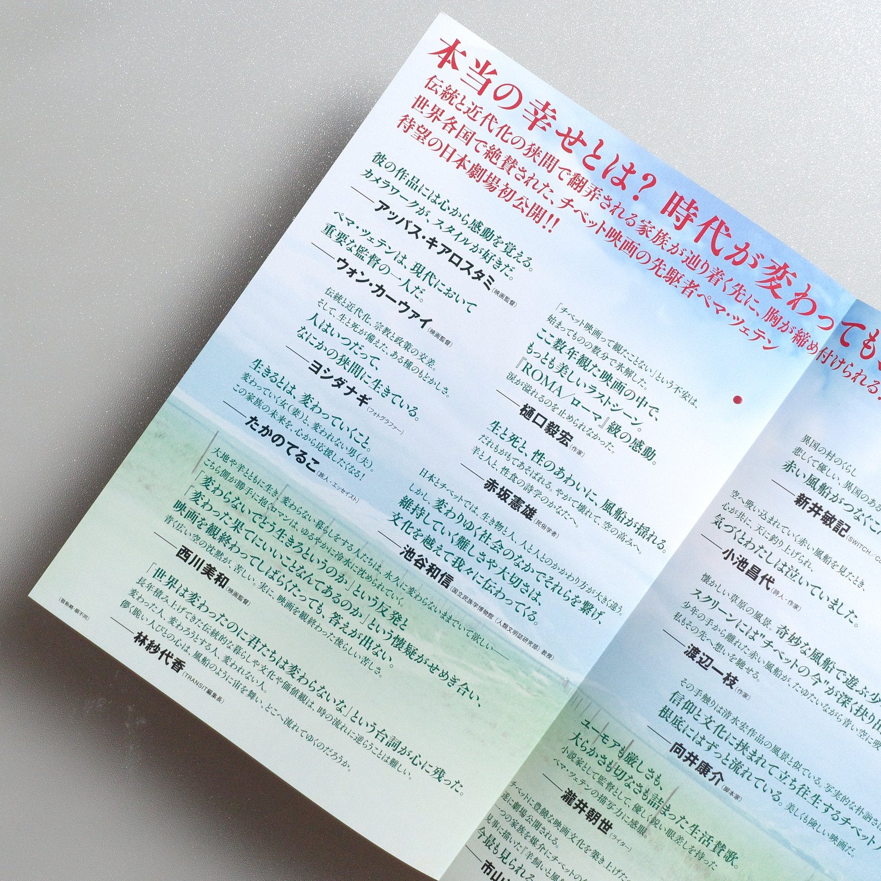 Balloon 2020 Japanese B5 Folded Flyer - side C