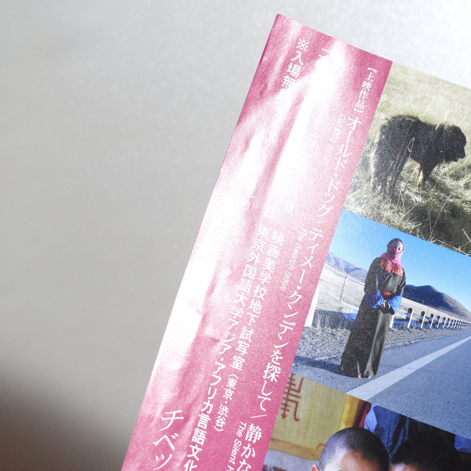 Pema Tseden Film Festival: Contemporary Tibetan Literature and Film Production 2013 Japanese A4 Screening Flyer - side C