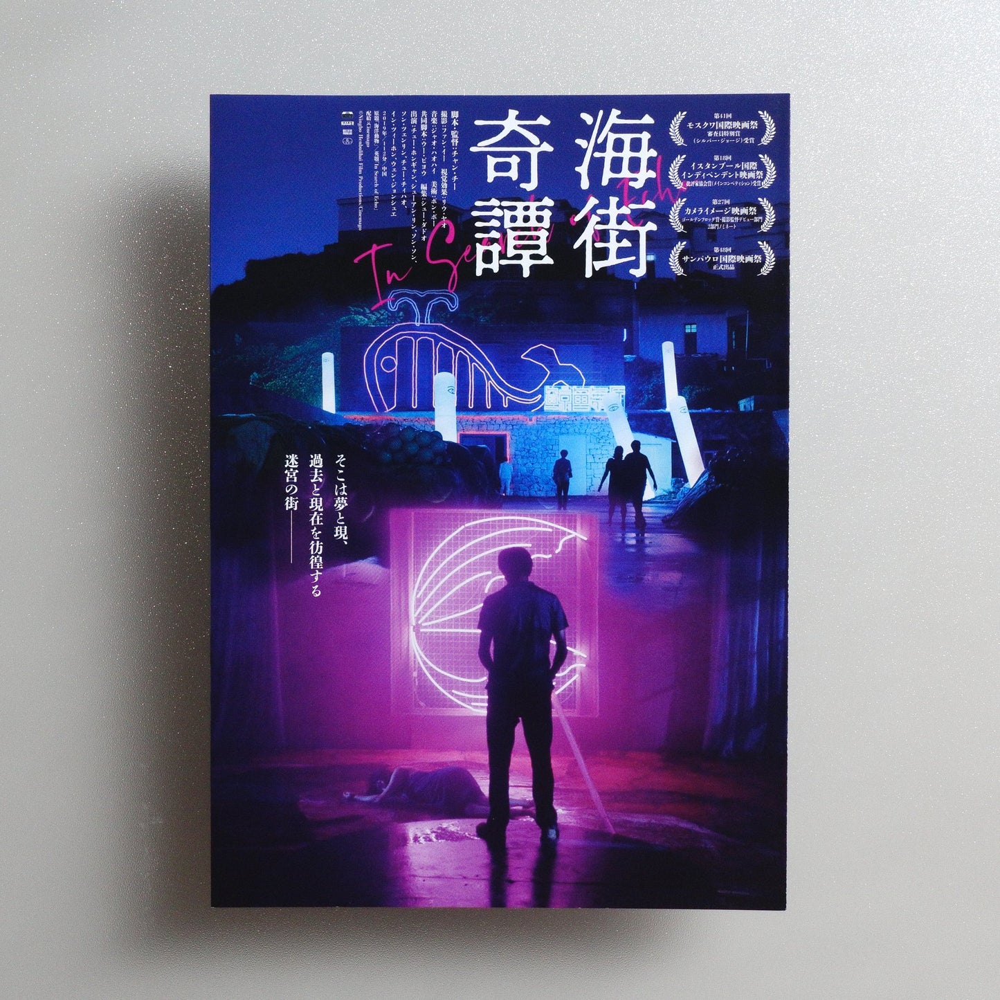 In Search of Echo 2024 Japanese B5 Screening Flyer - front