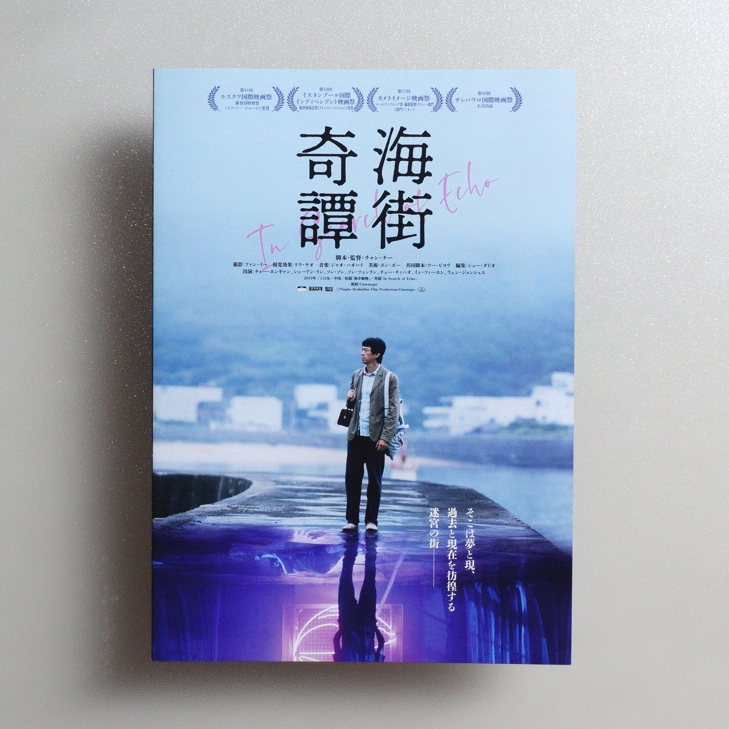 In Search of Echo 2024 Japanese B5 Screening Flyer - side C