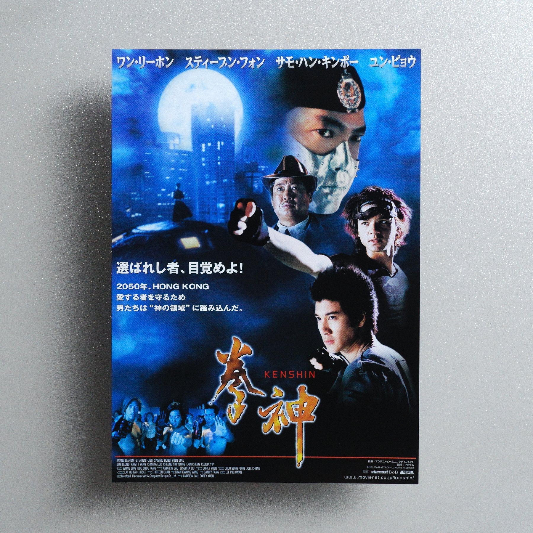 The Avenging Fist 2002 Japanese B5 Movie Flyer - front