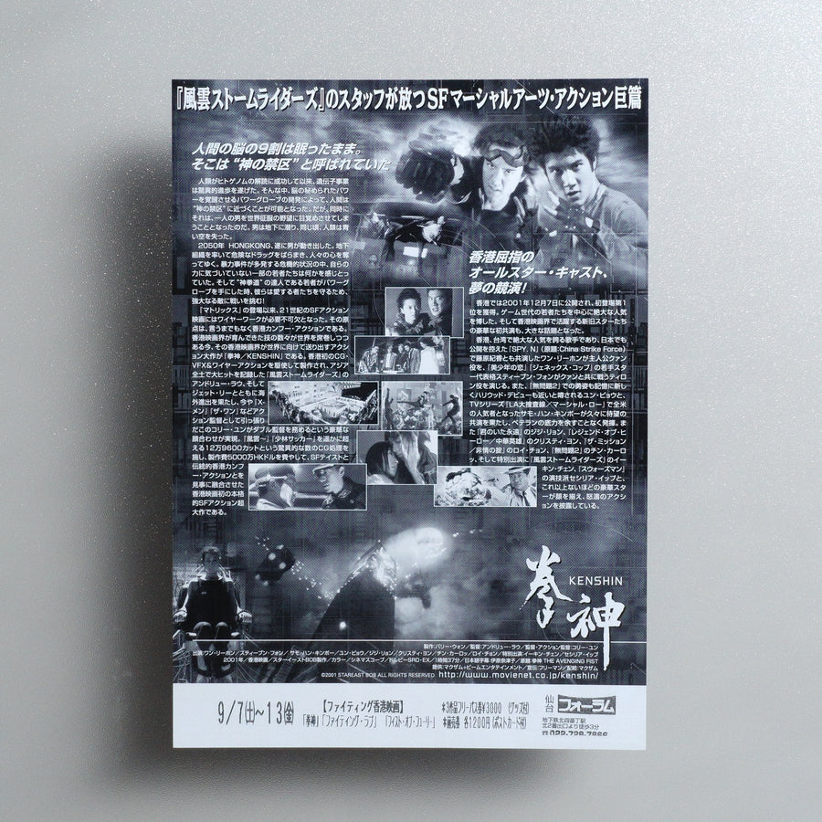 The Avenging Fist 2002 Japanese B5 Movie Flyer - reverse