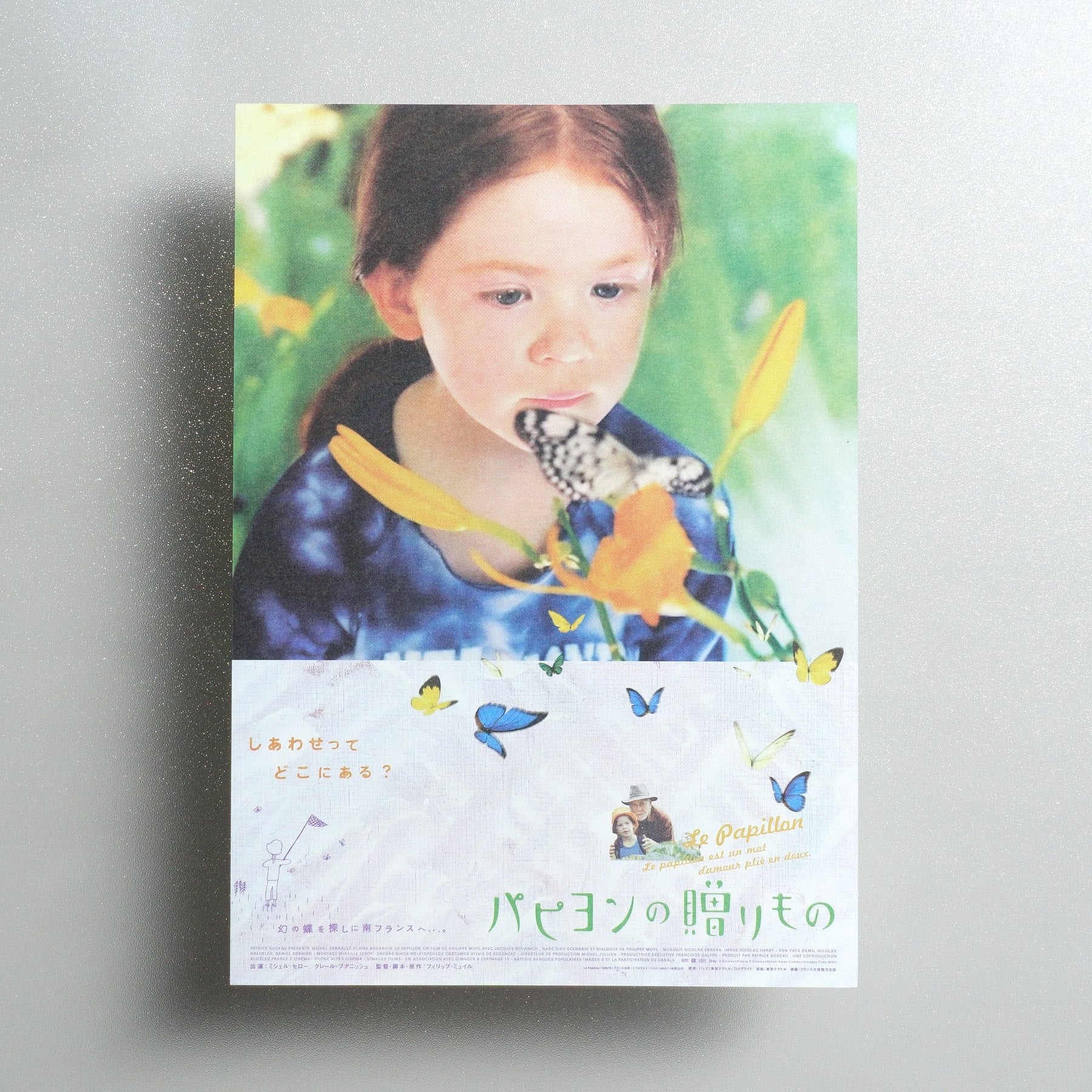 The Butterfly 2004 Japanese B5 Movie Flyer - front