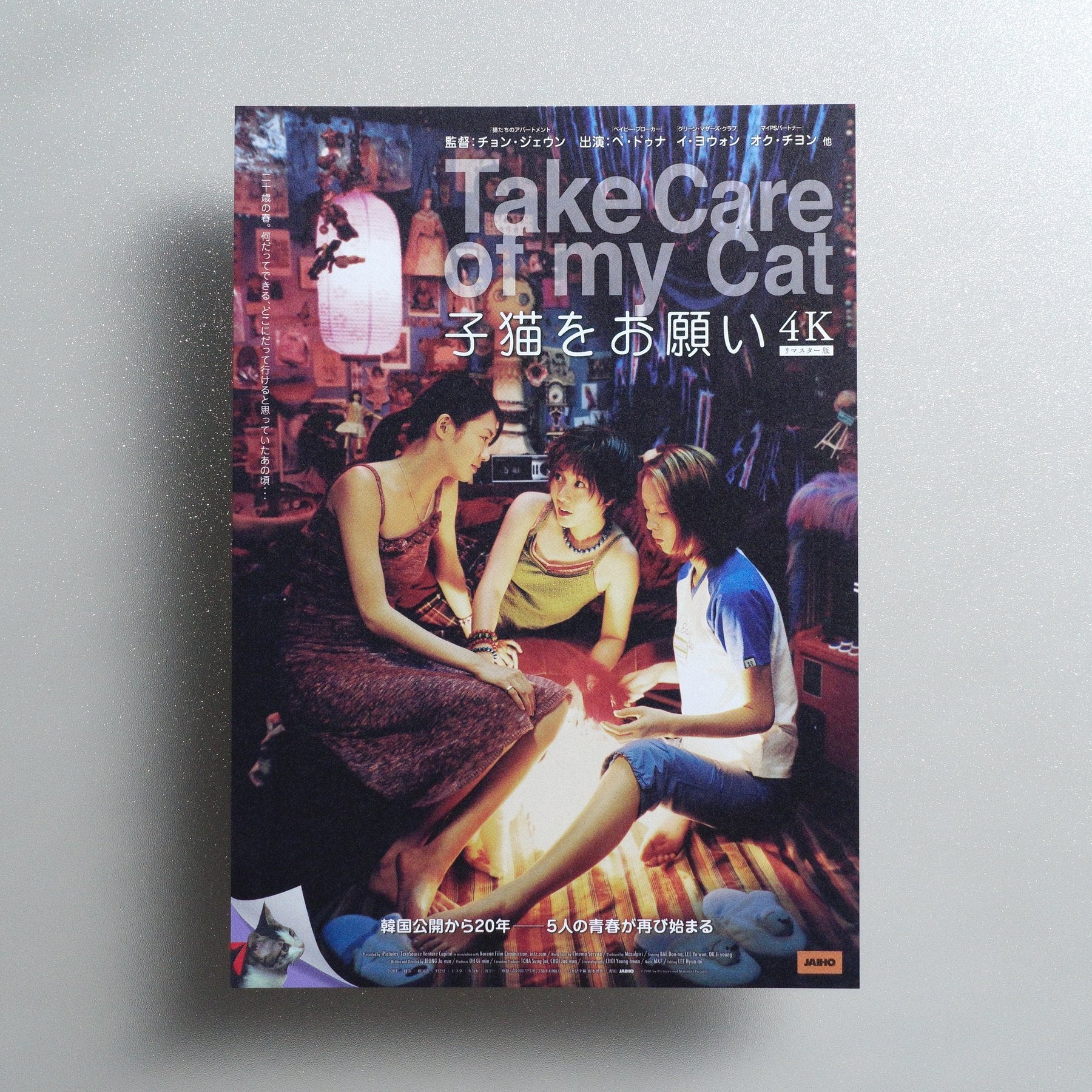 Take Care of My Cat 2022 Japanese B5 Movie Flyer - front