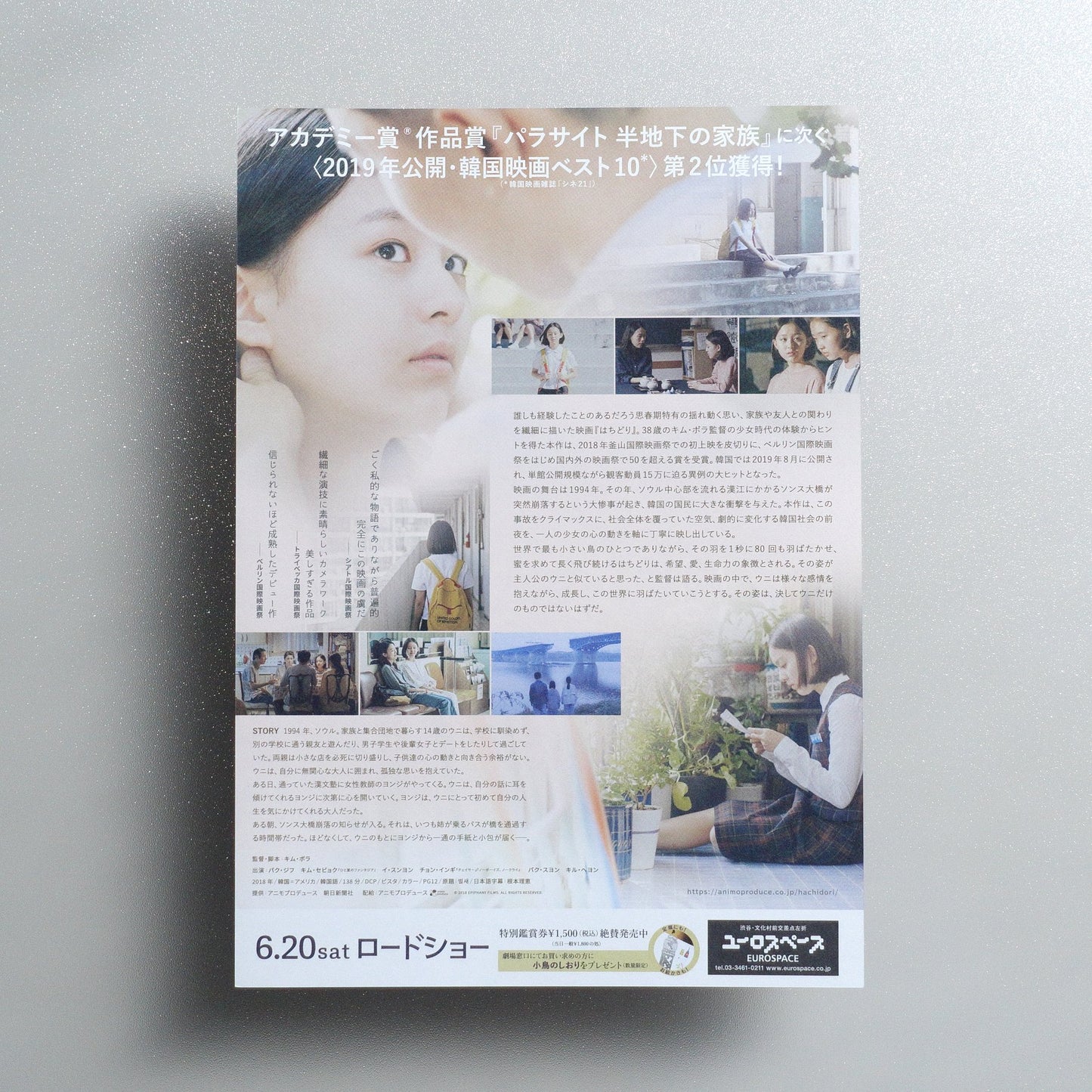 House of Hummingbird 2020 Japanese B5 Movie Flyer - reverse