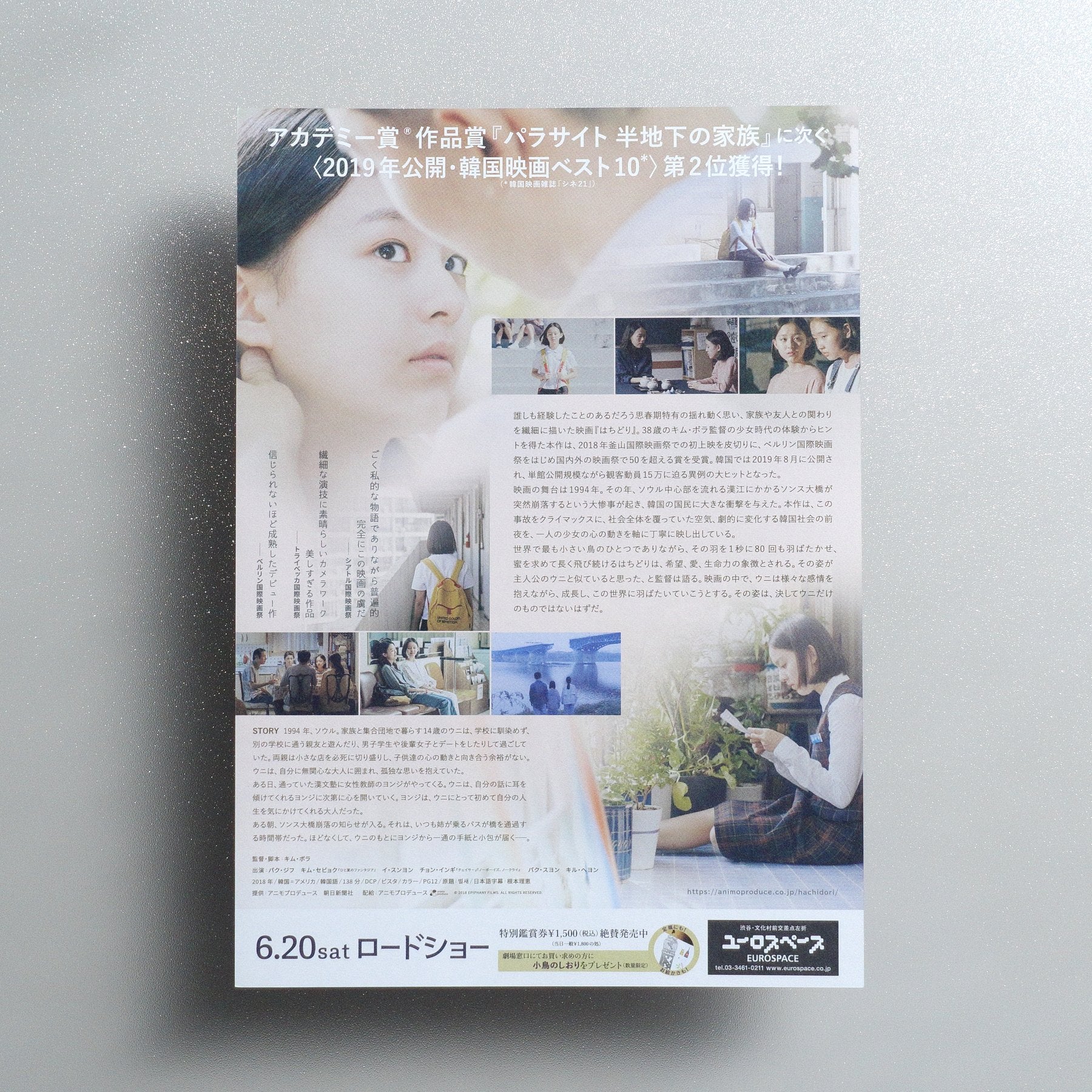 House of Hummingbird 2020 Japanese B5 Movie Flyer - reverse