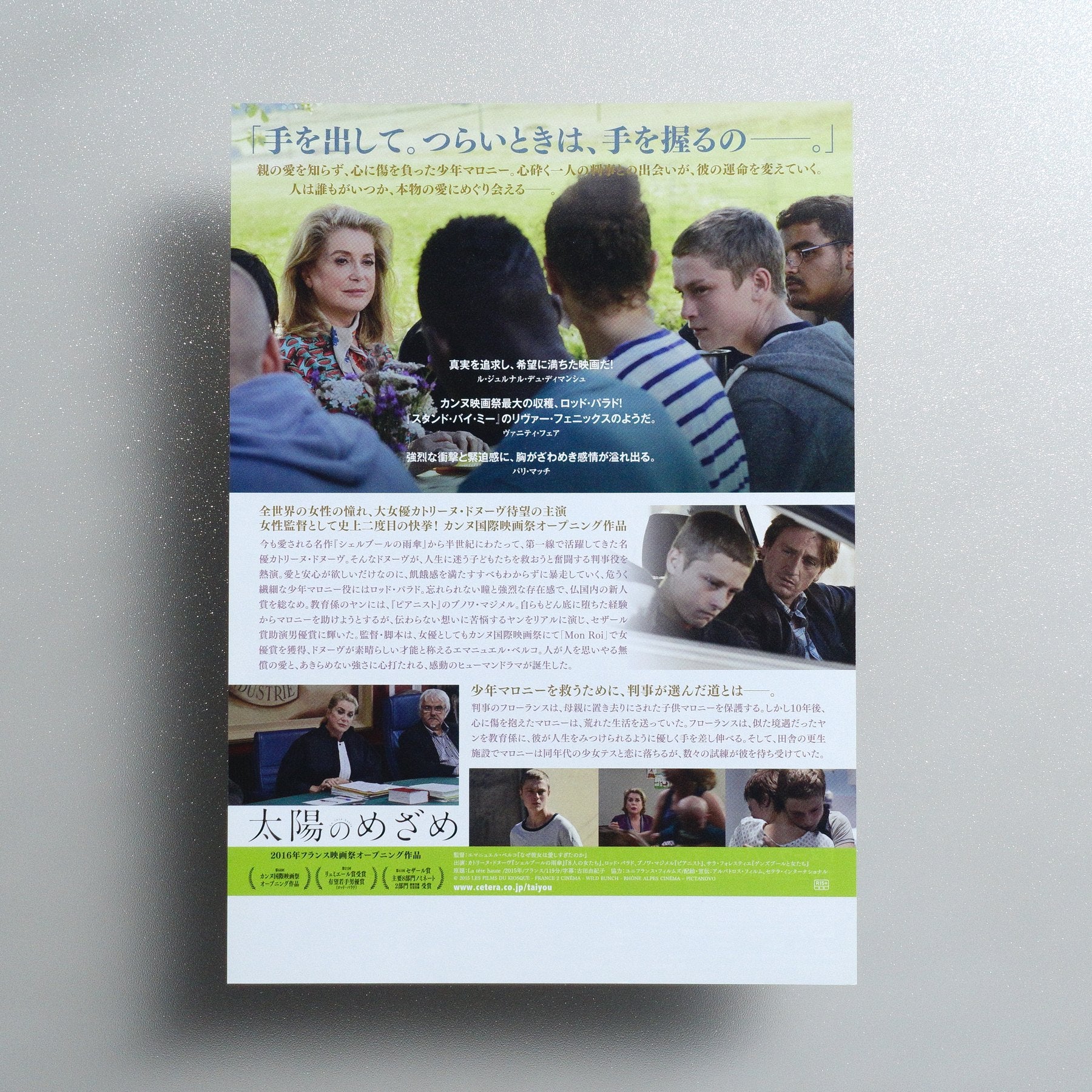 Standing Tall 2016 Japanese B5 Movie Flyer - reverse