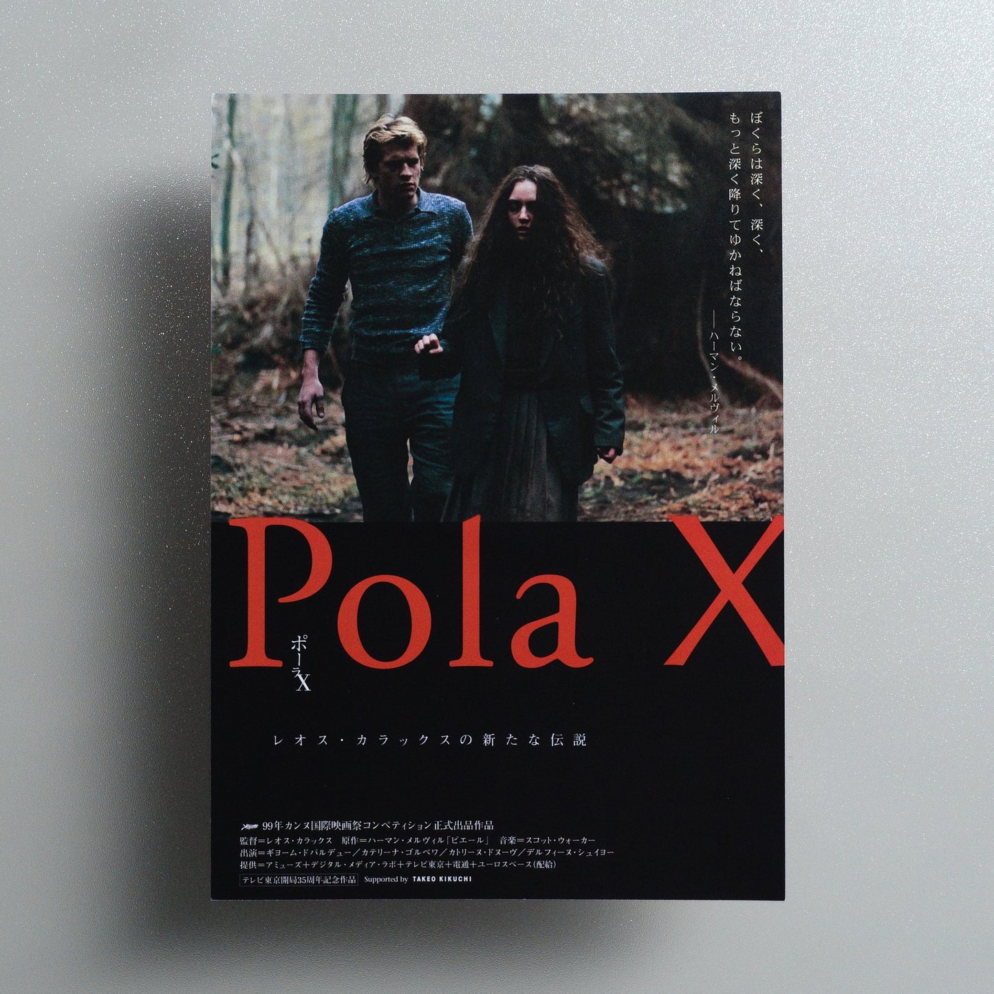 Pola X 1999 Japanese B5 Movie Flyer - front