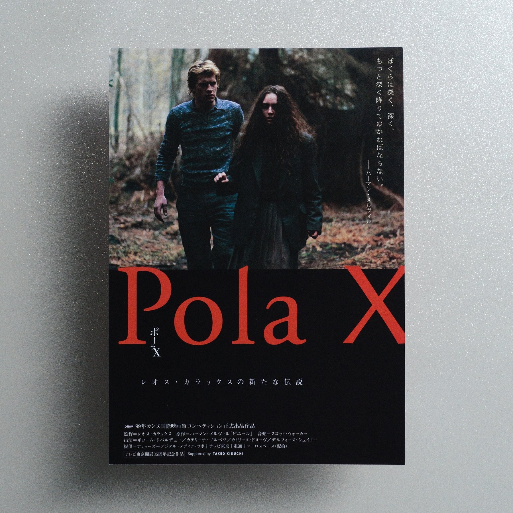 Pola X 1999 Japanese B5 Movie Flyer - front