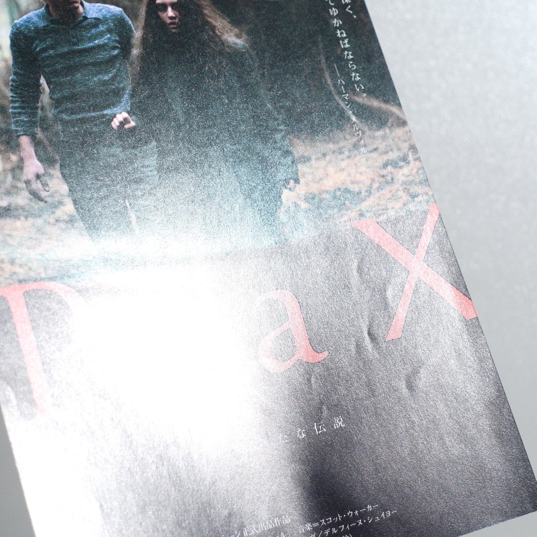 Pola X 1999 Japanese B5 Movie Flyer - side C