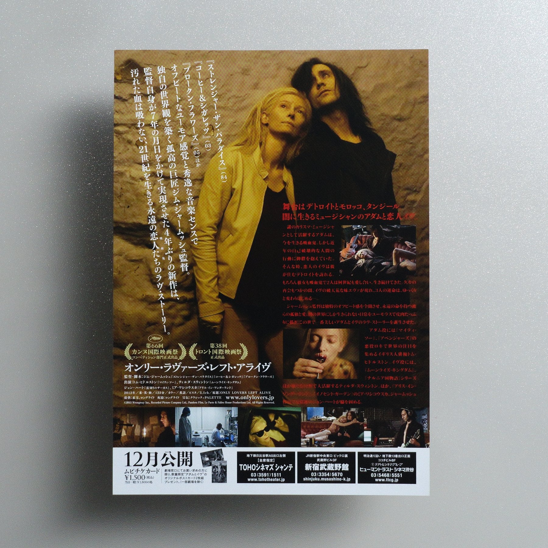 Only Lovers Left Alive 2013 Japanese B5 Folded Flyer - front