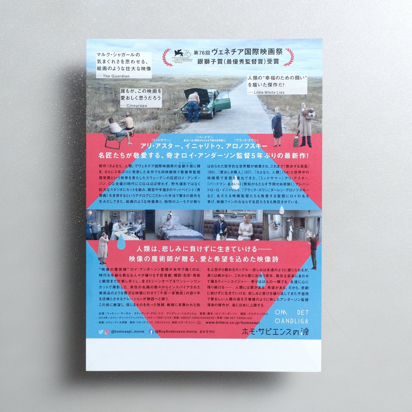 About Endlessness 2020 Japanese B5 Movie Flyer - reverse