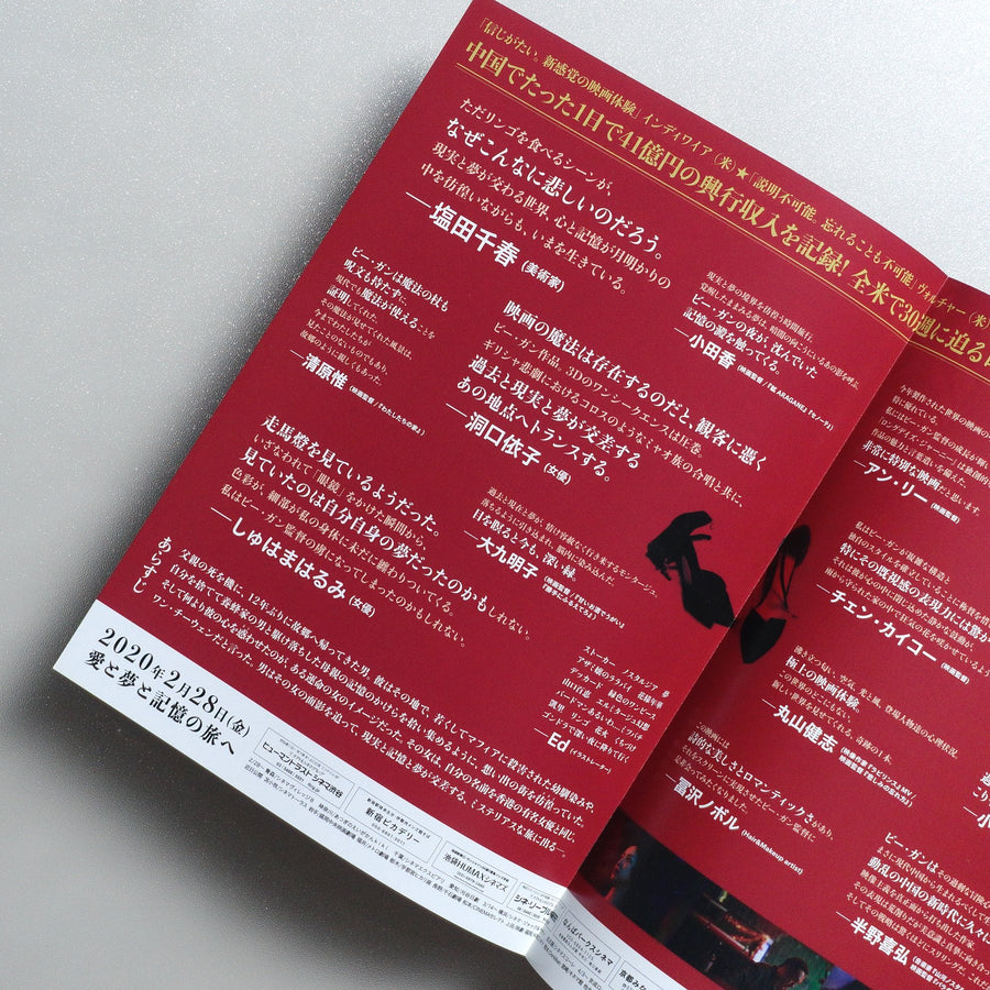 Long Day’s Journey Into Night 2020 Japanese B5 Movie Flyer - reverse