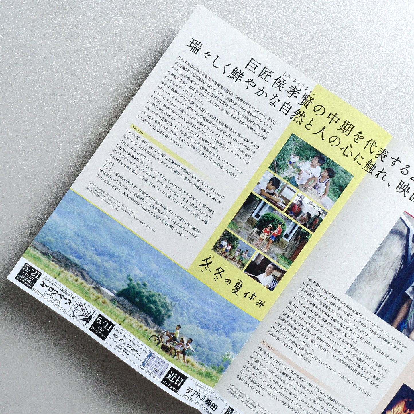 Dust in the Wind 2016 Japanese B5 Movie Flyer - side C