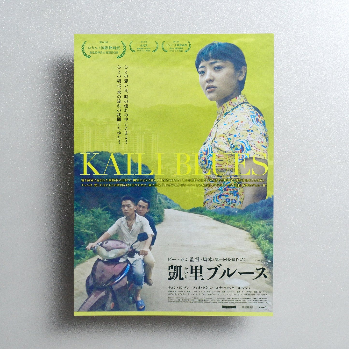 Kaili Blues 2020 Japanese B5 Movie Flyer - front
