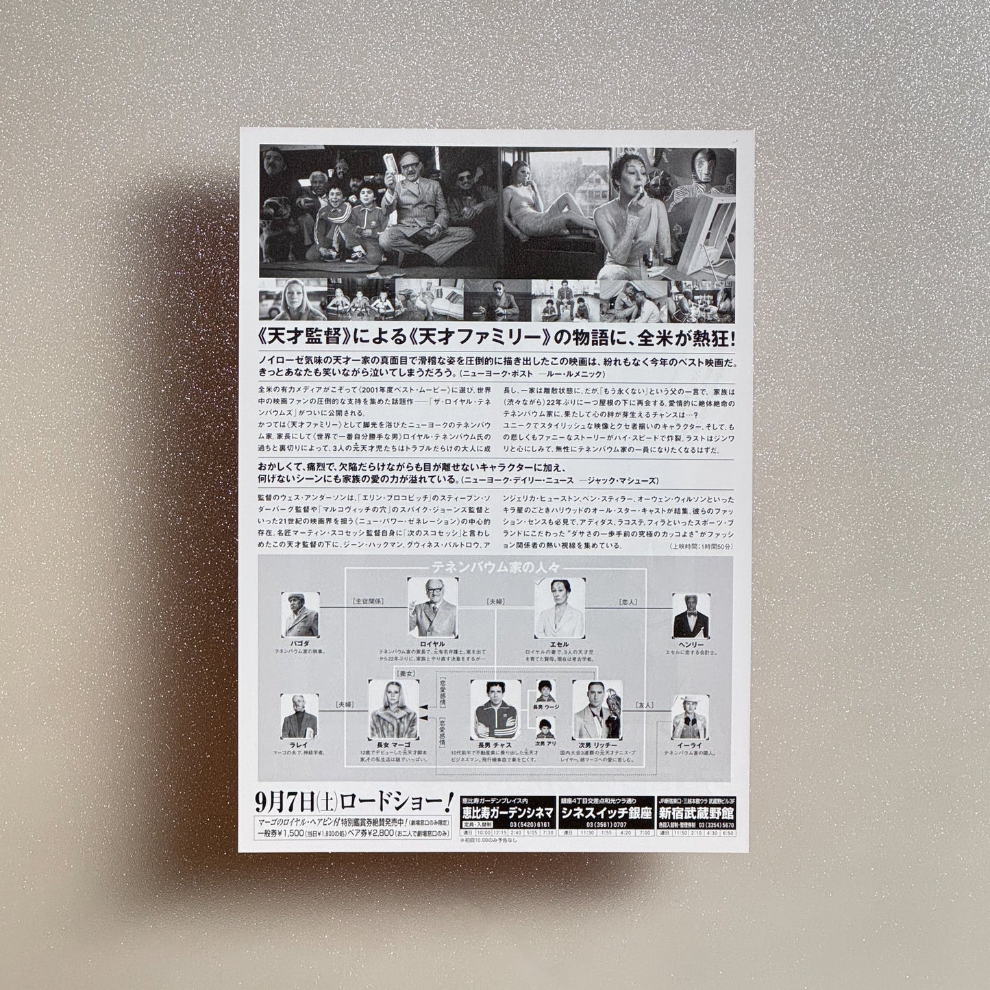 The Royal Tenenbaums 2002 Japanese B5 Movie Flyer - reverse