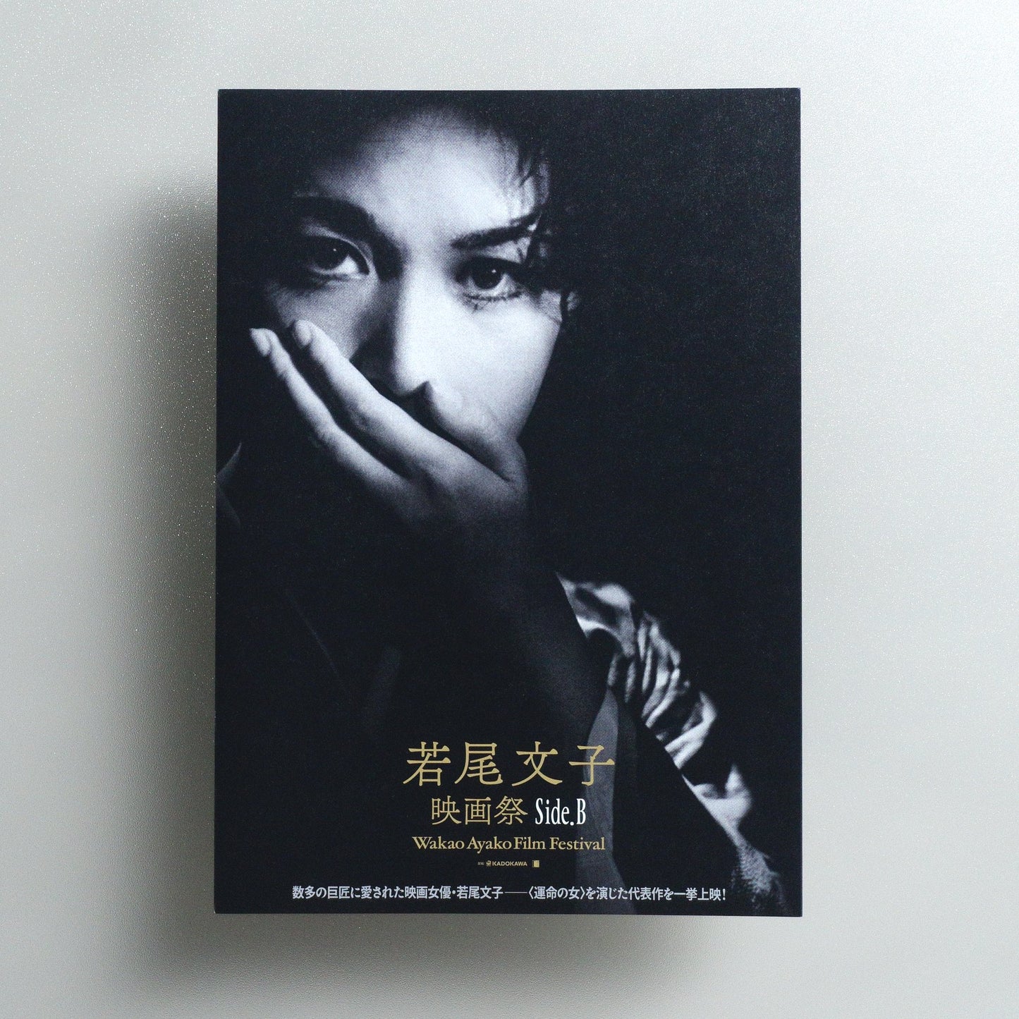 Wakao Ayako Film Festival Side; B 2025 Japanese B5 Folded Flyer - front
