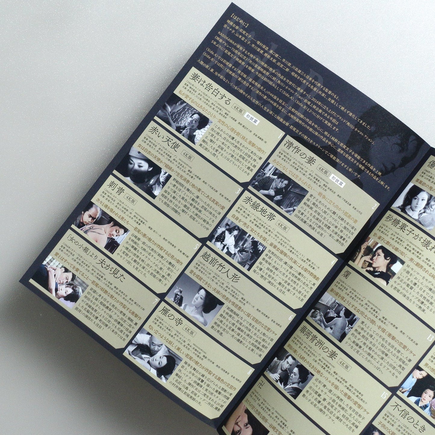 Wakao Ayako Film Festival Side; B 2025 Japanese B5 Folded Flyer - reverse