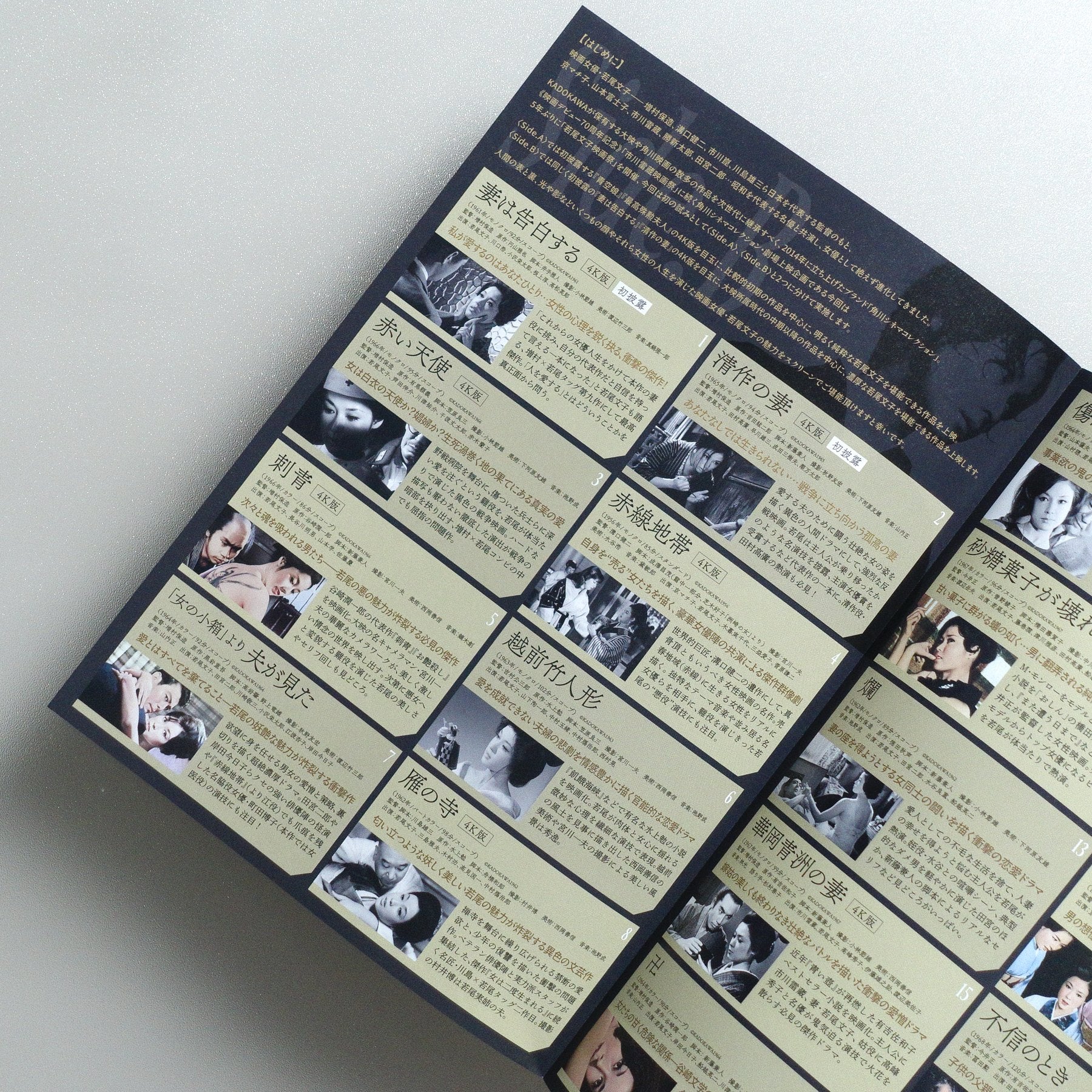 Wakao Ayako Film Festival Side; B 2025 Japanese B5 Folded Flyer - reverse