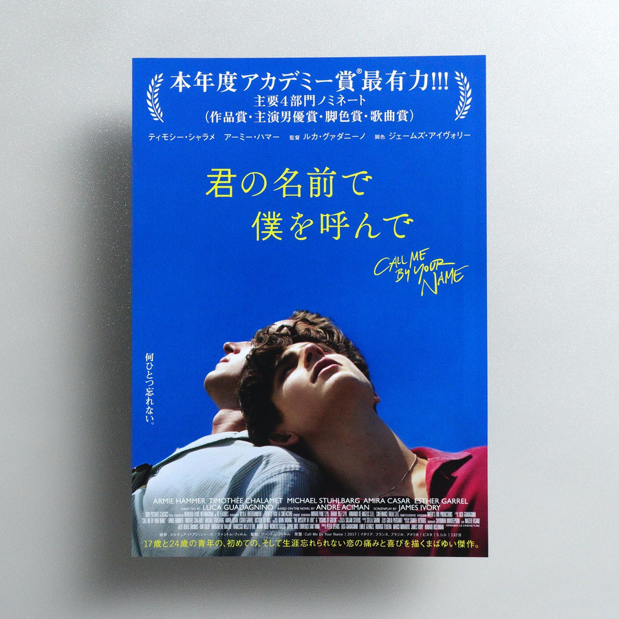 Call Me by Your Name 2018 Japanese B5 Movie Flyer - front