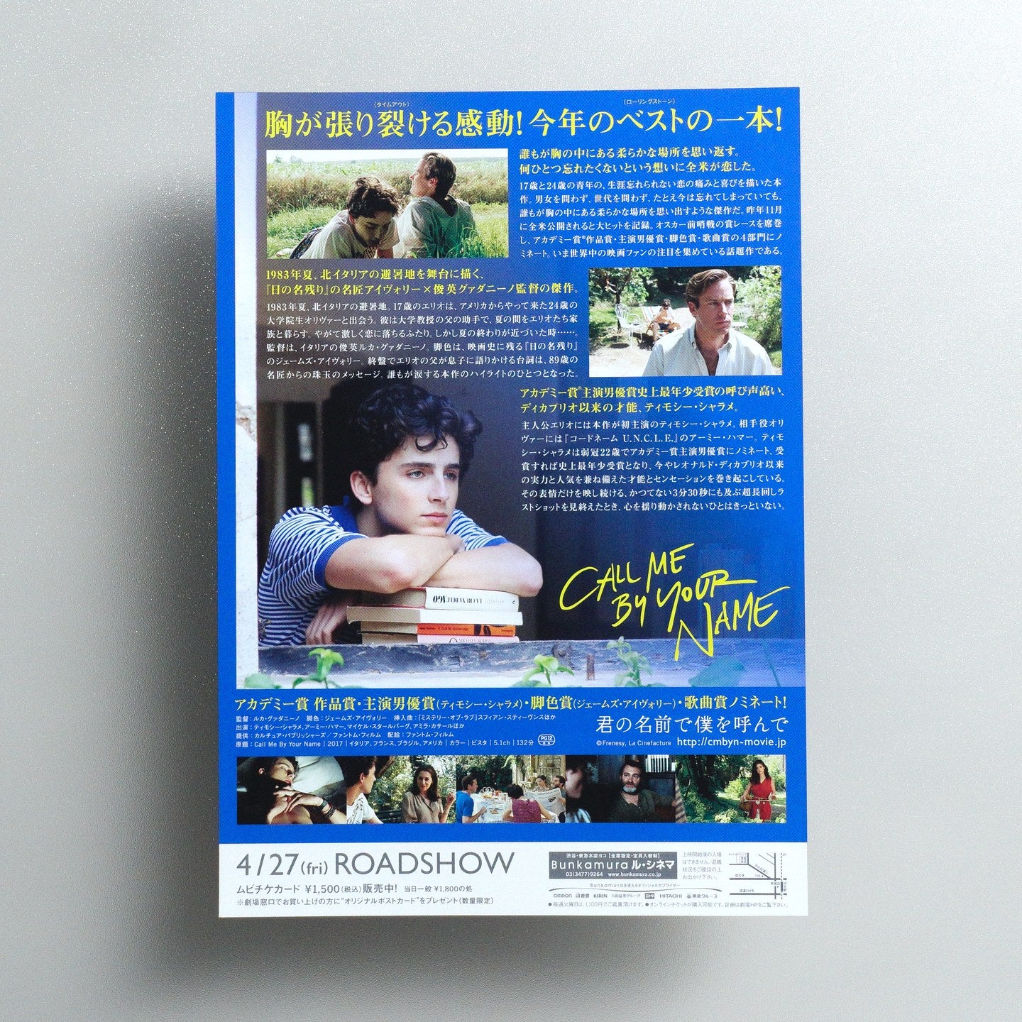 Call Me by Your Name 2018 Japanese B5 Movie Flyer - reverse