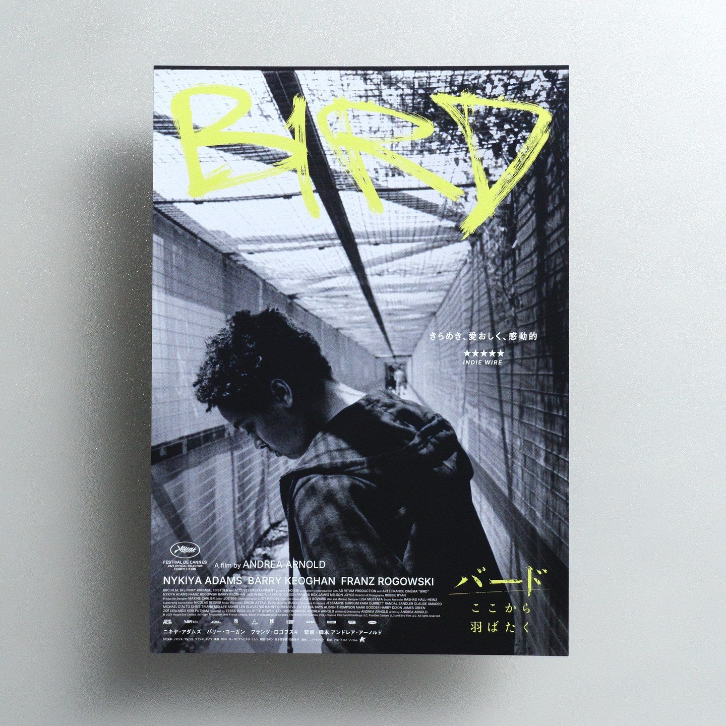 Bird 2025 Japanese B5 Movie Flyer - Design A front