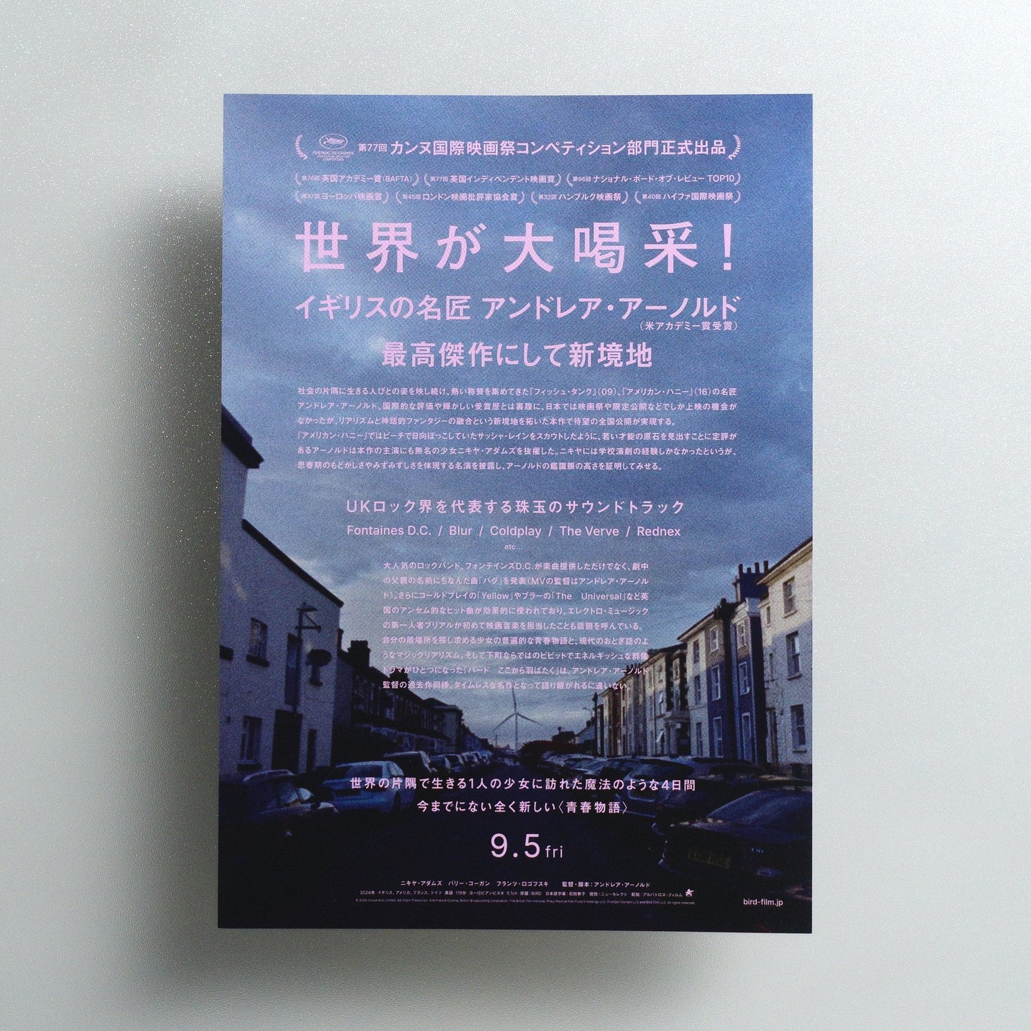 Bird 2025 Japanese B5 Movie Flyer - Design B reverse